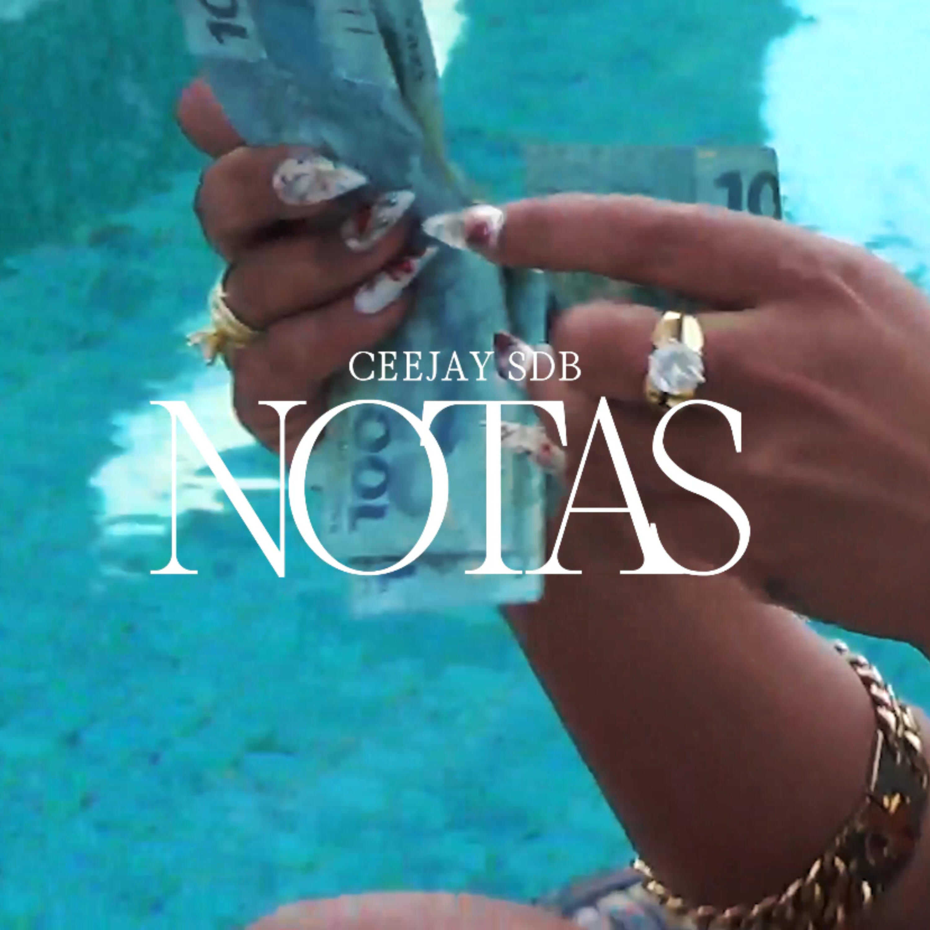 Релиз Notas