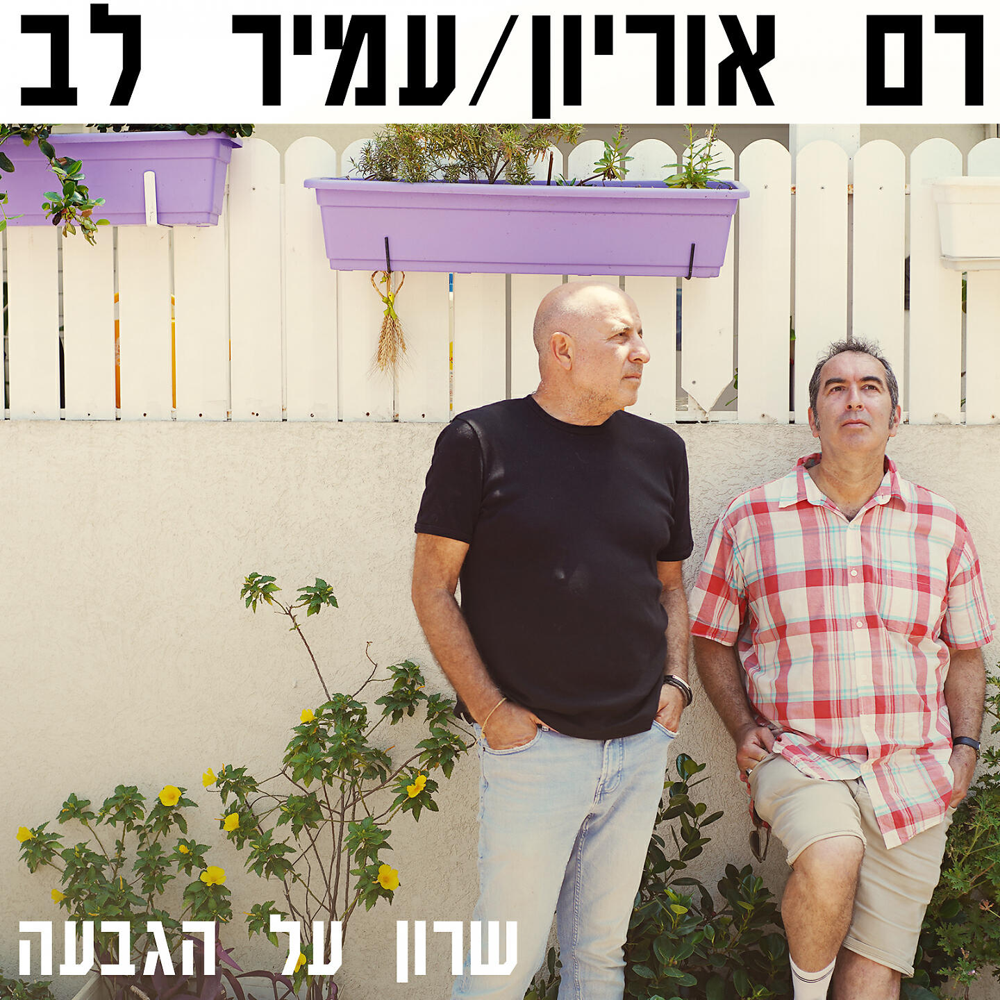 Релиз שרון על הגבעה