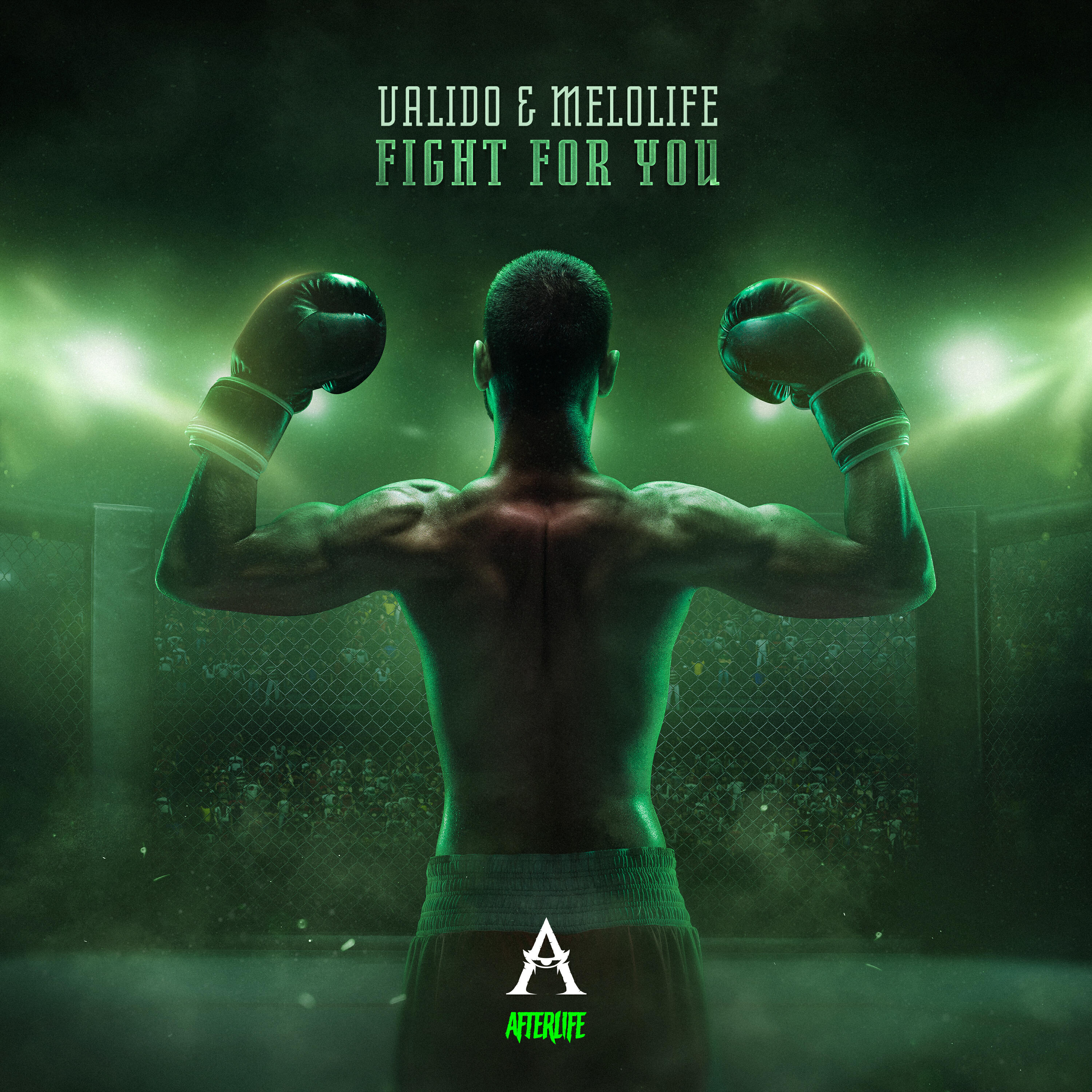 Релиз Fight For You