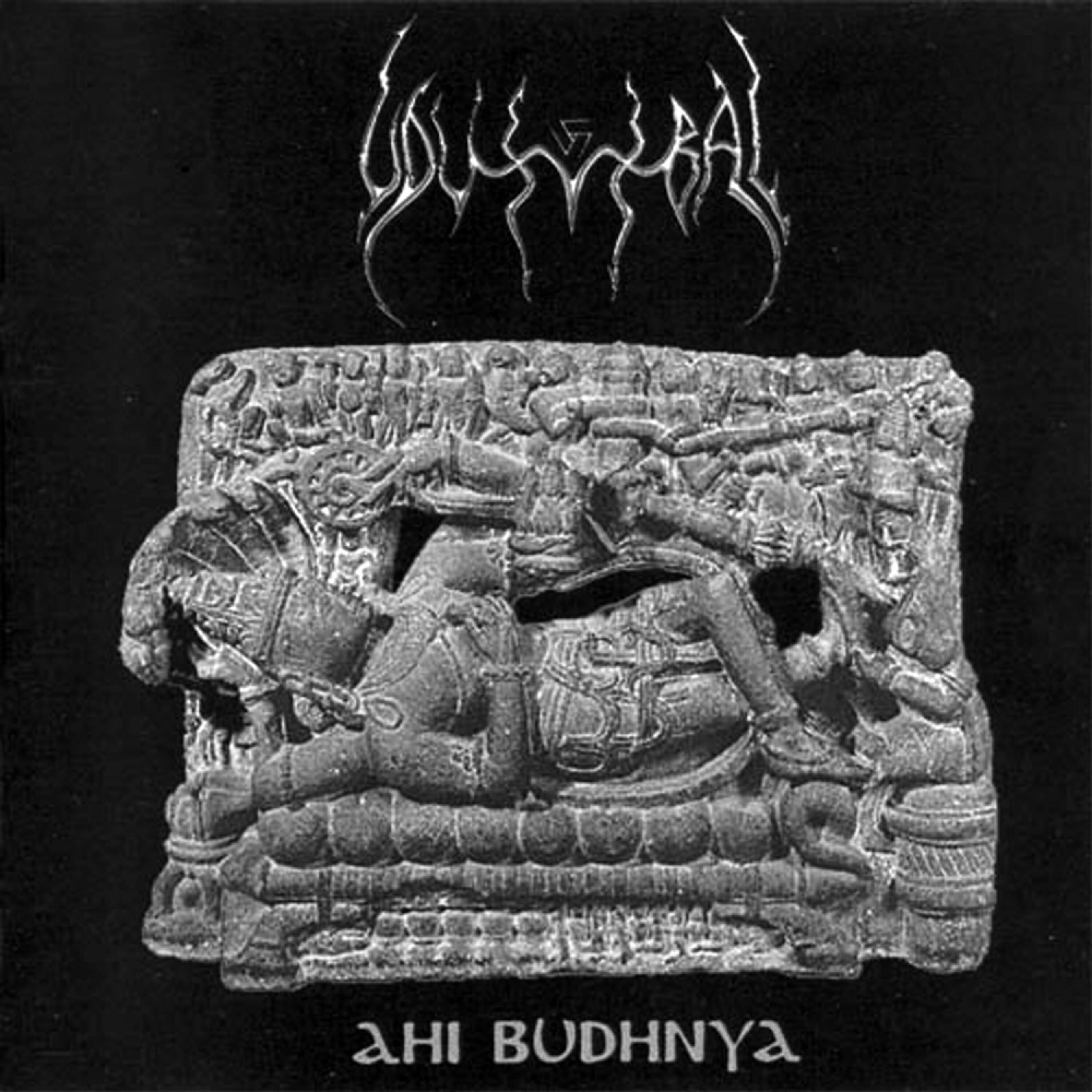 Постер альбома Ahi Budhnya