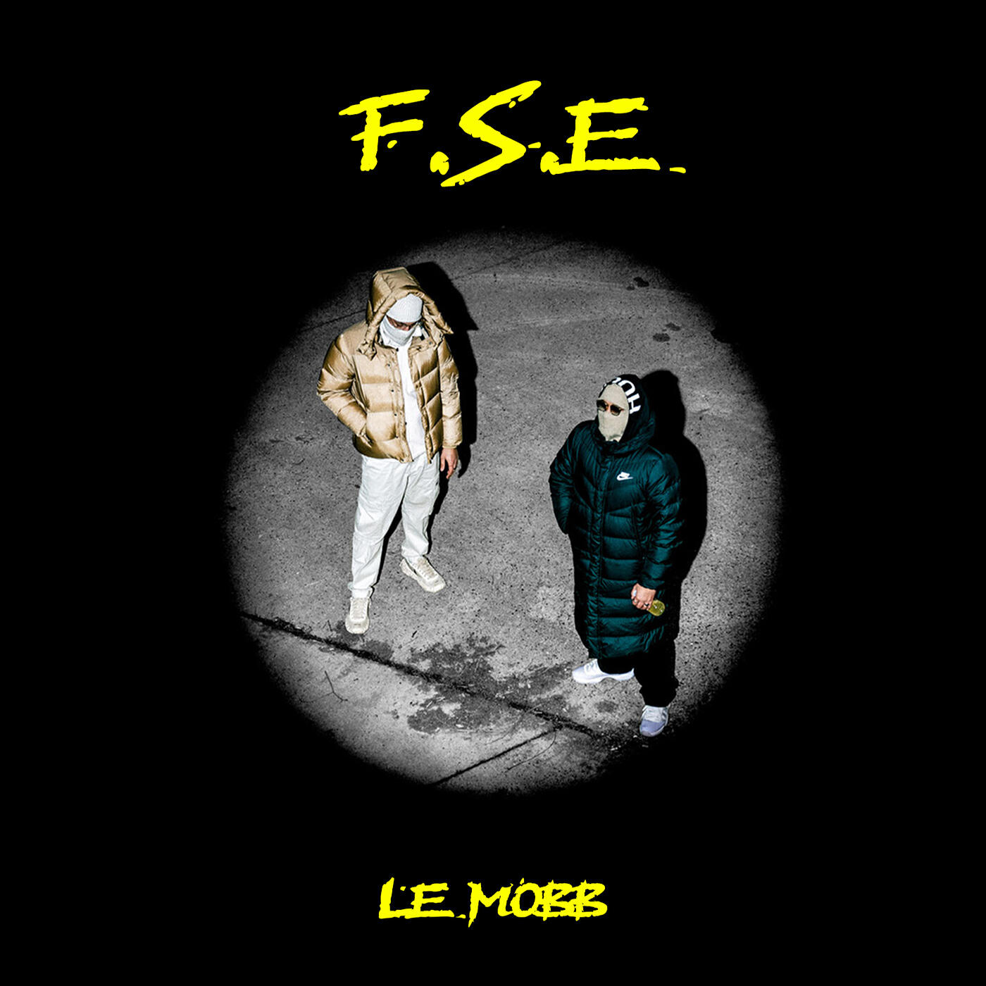 Релиз F.S.E
