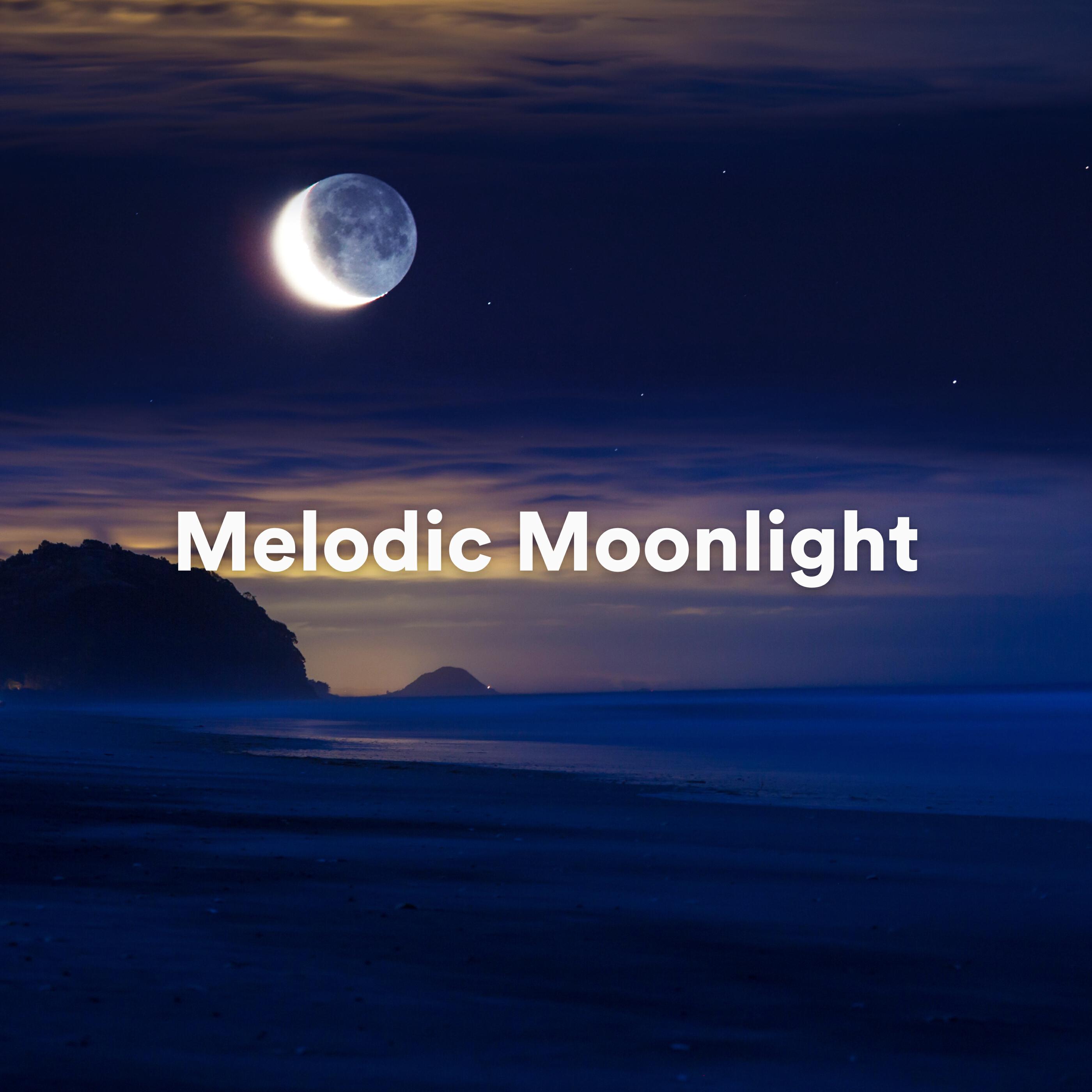 Релиз Melodic Moonlight