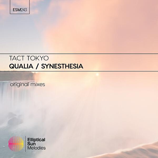 Постер альбома Qualia / Synesthesia