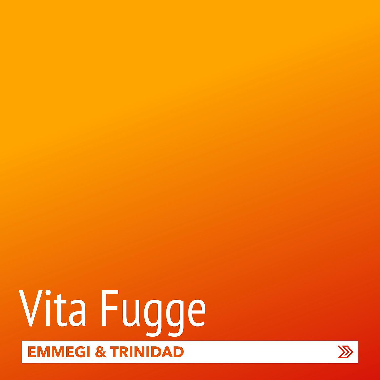 Emmegi