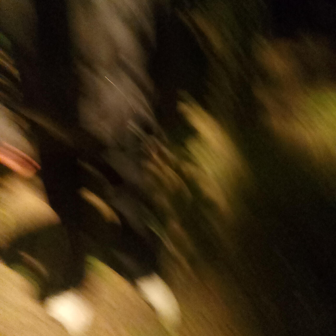 Релиз Обида и месть