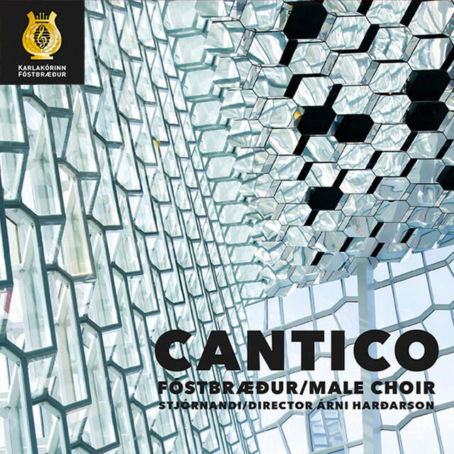Релиз Cantico