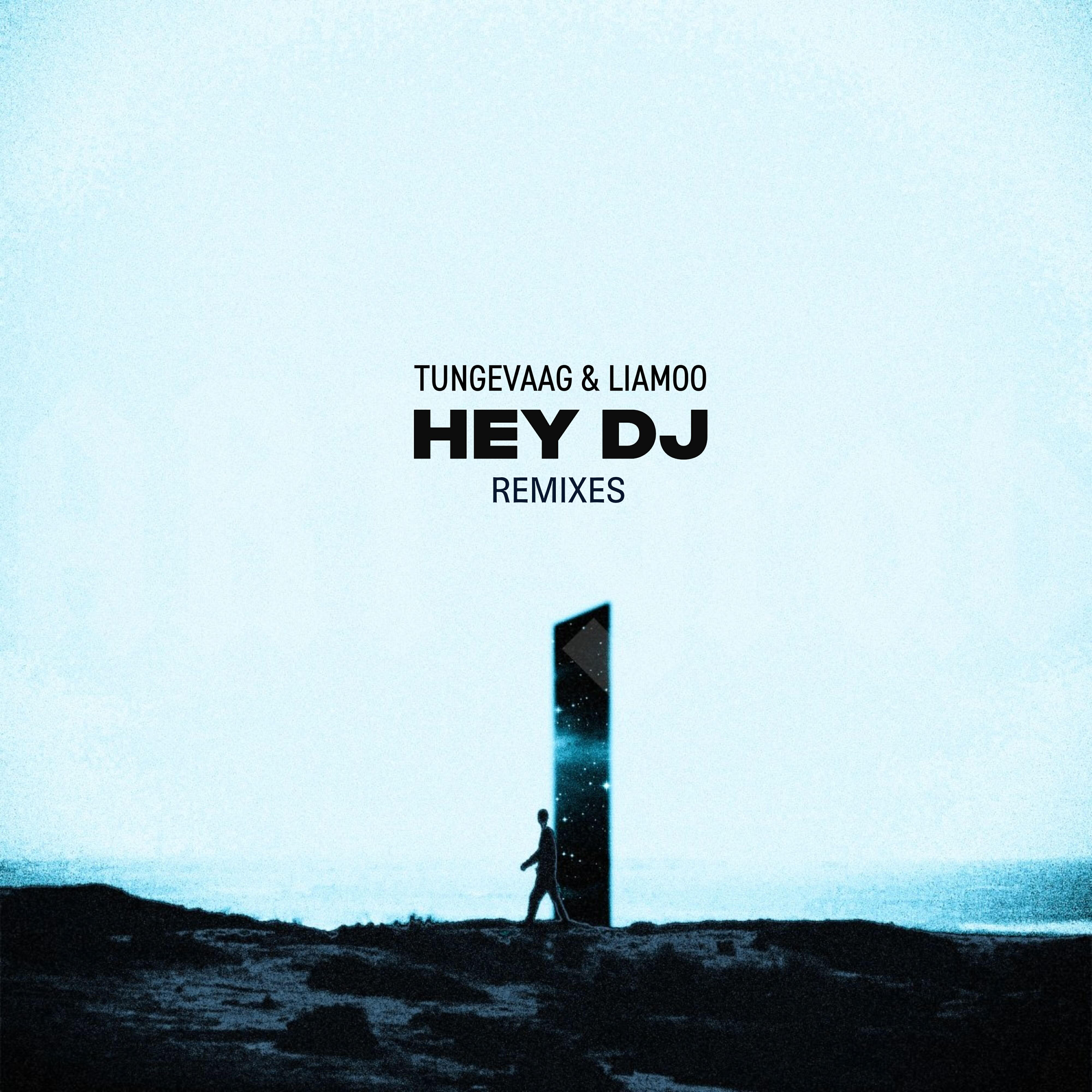 Релиз Hey DJ (Remixes)