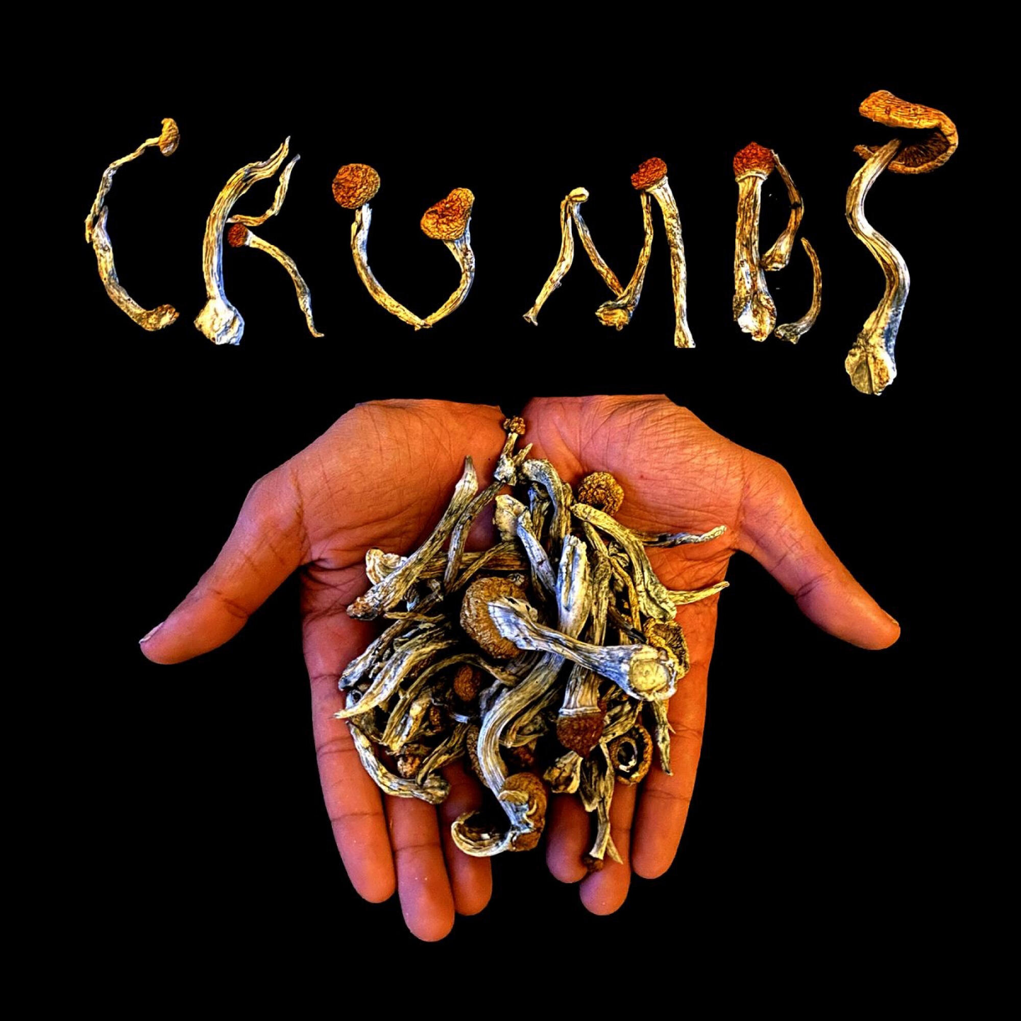 Релиз Crumbs