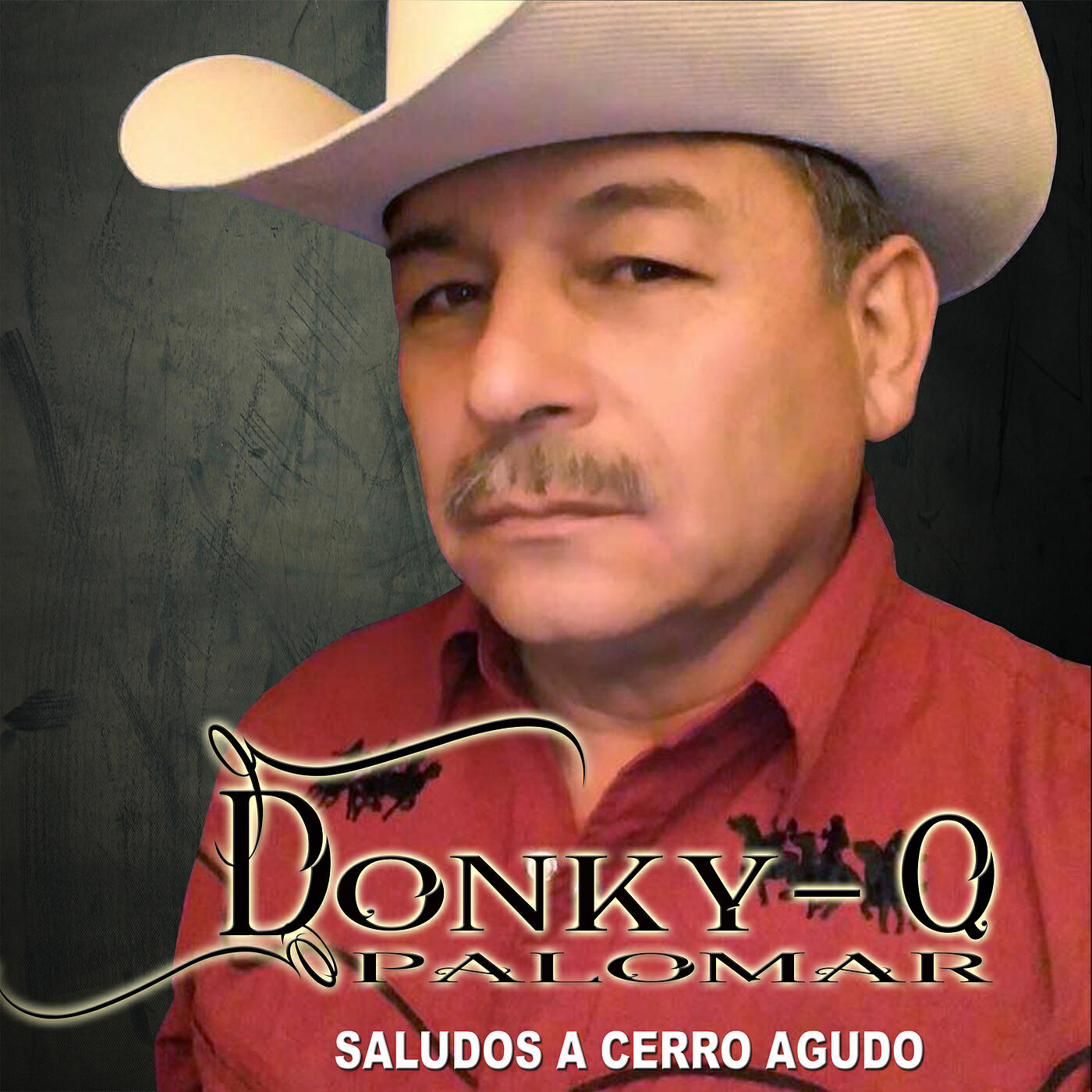 DONKY-Q PALOMAR