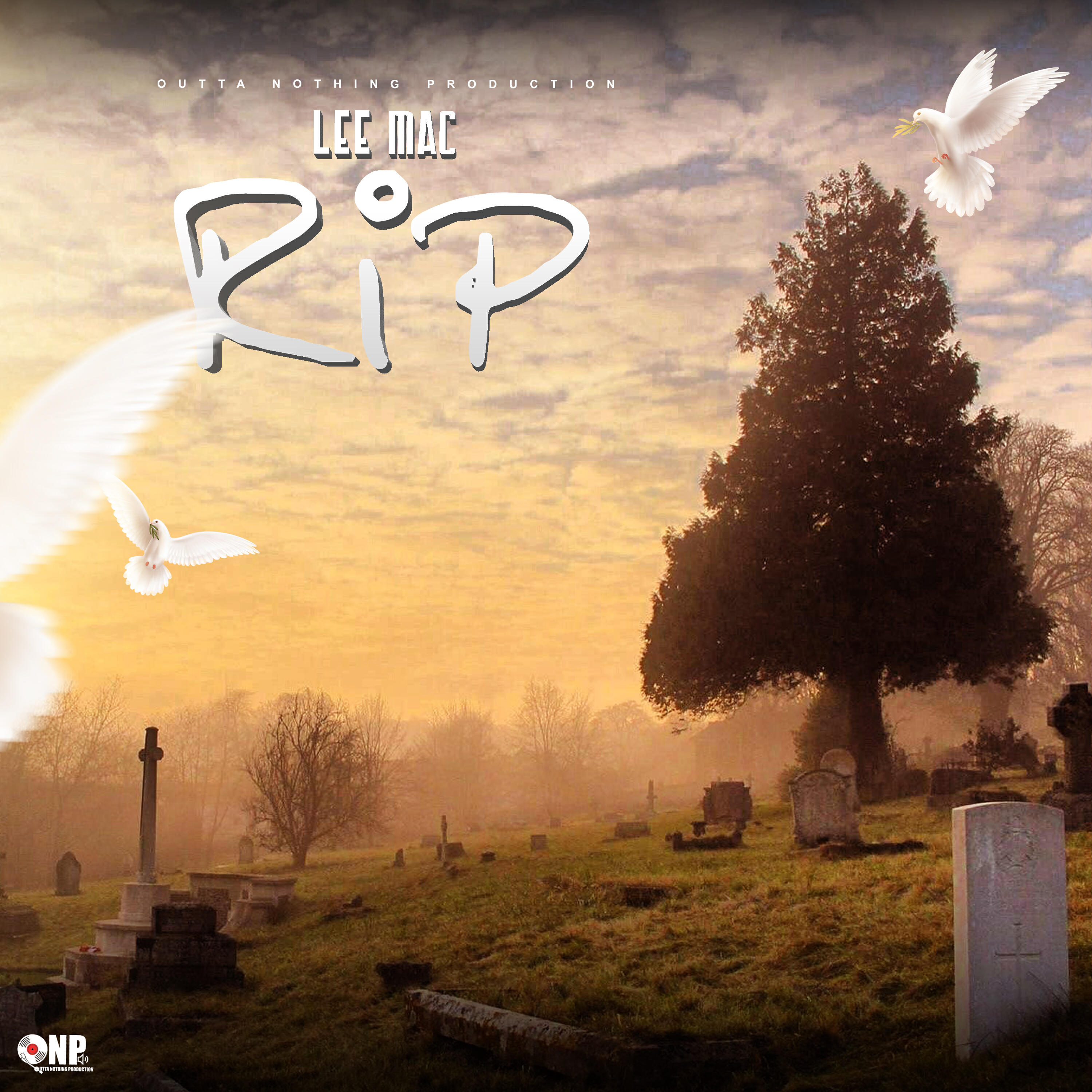 Релиз Rip