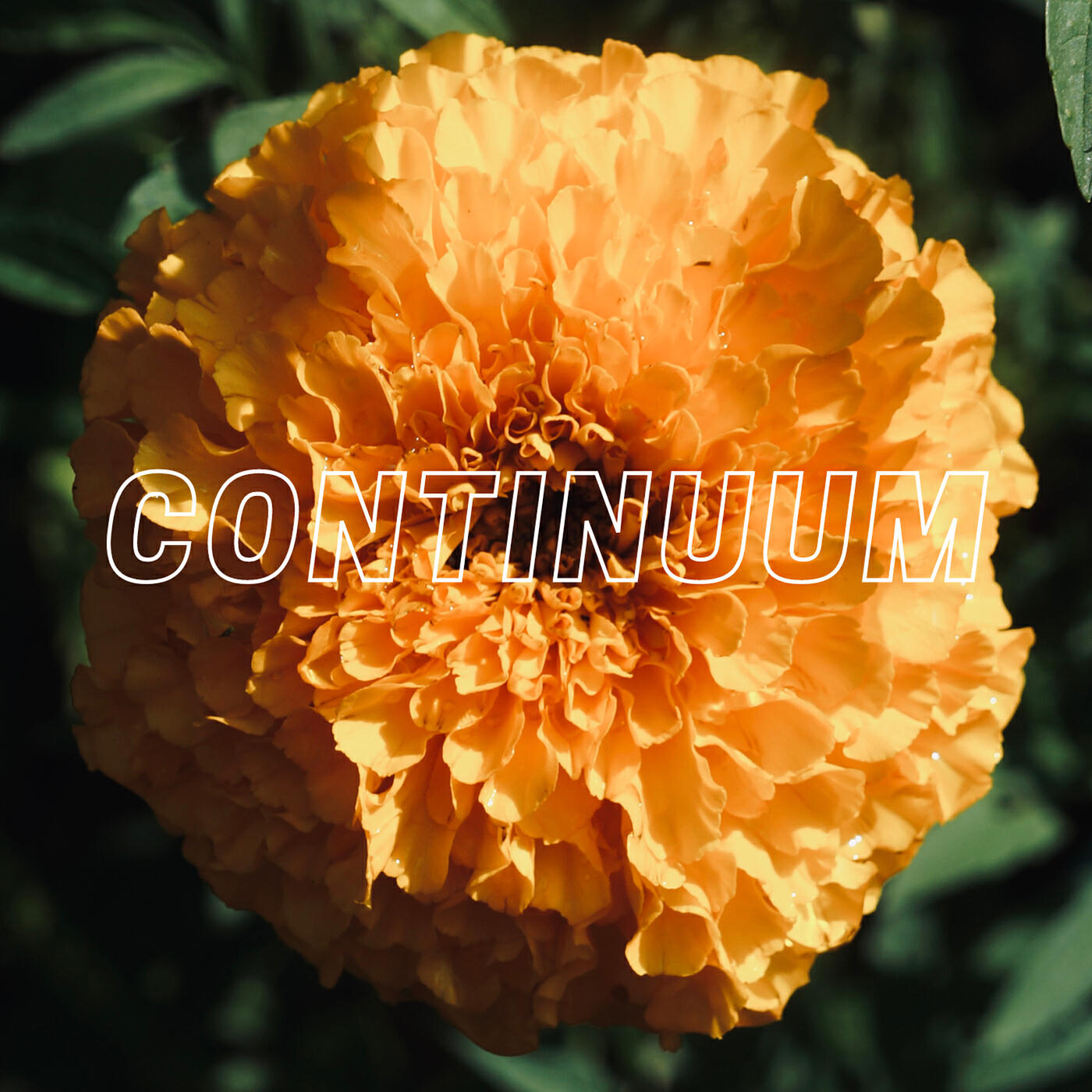 Релиз Continuum