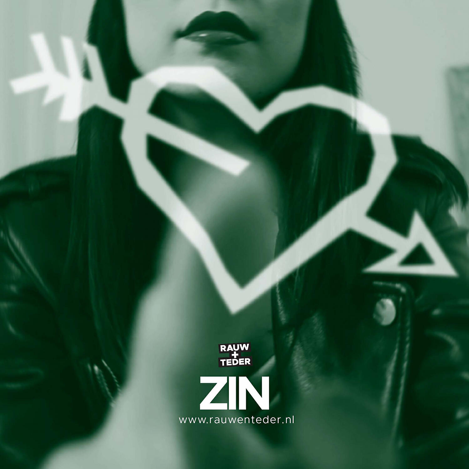 Релиз Zin