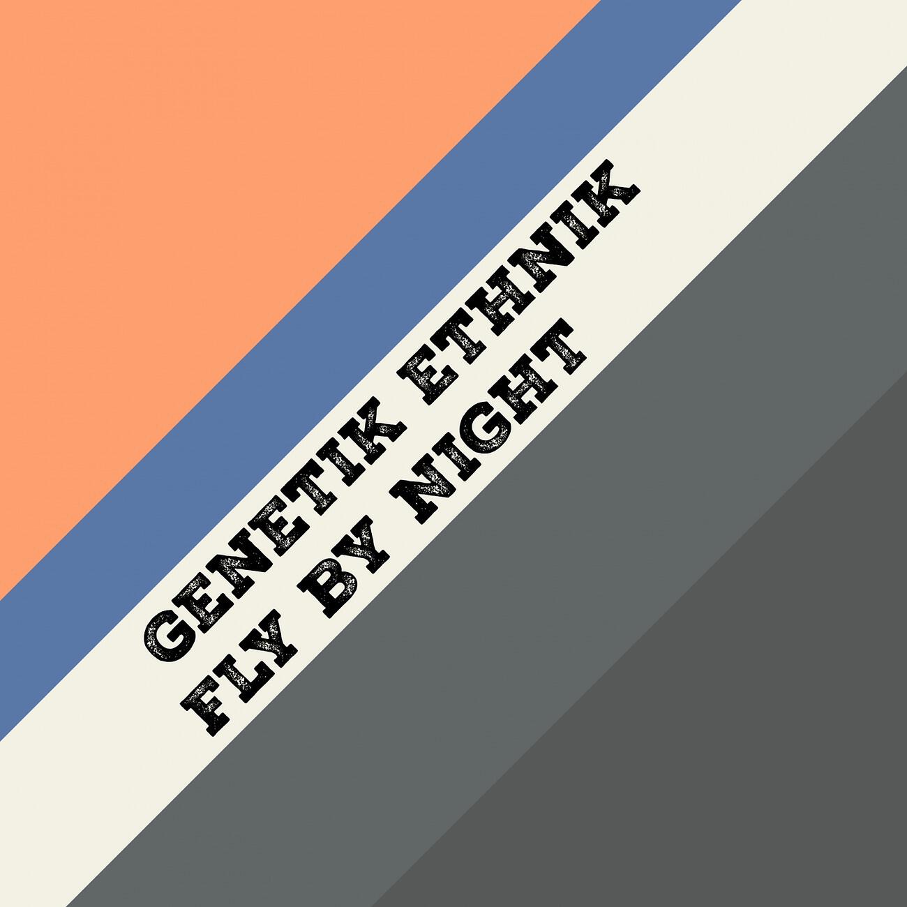 Релиз Fly by Night