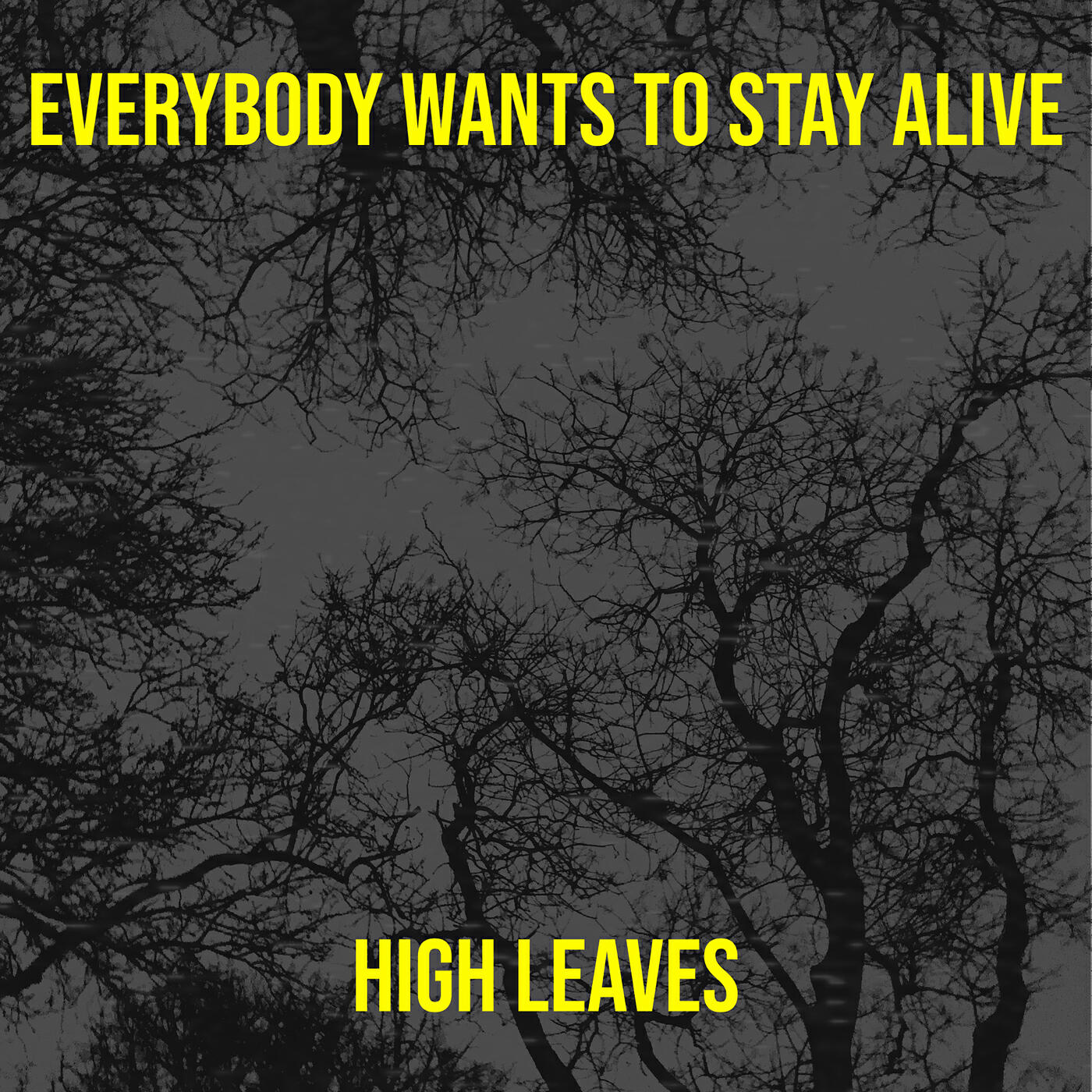 High Leaves