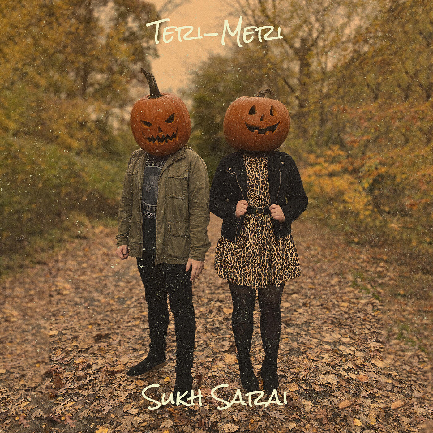 Релиз Teri-Meri