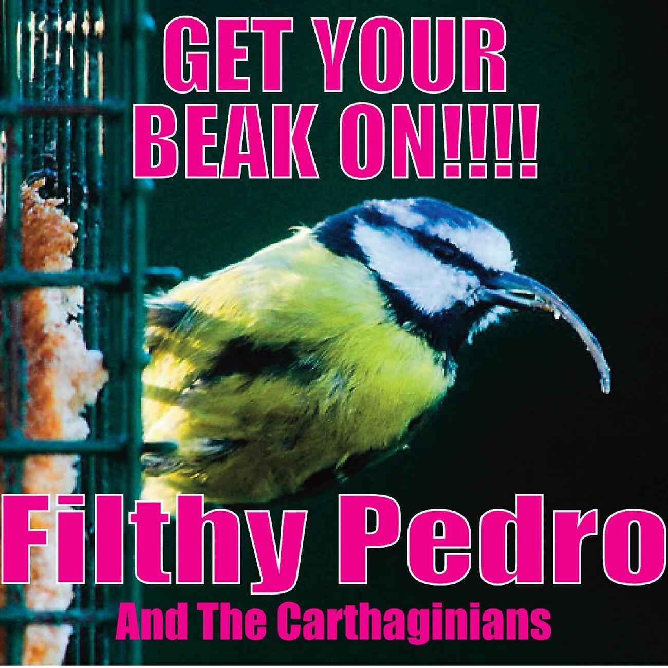 Релиз Get Your Beak On