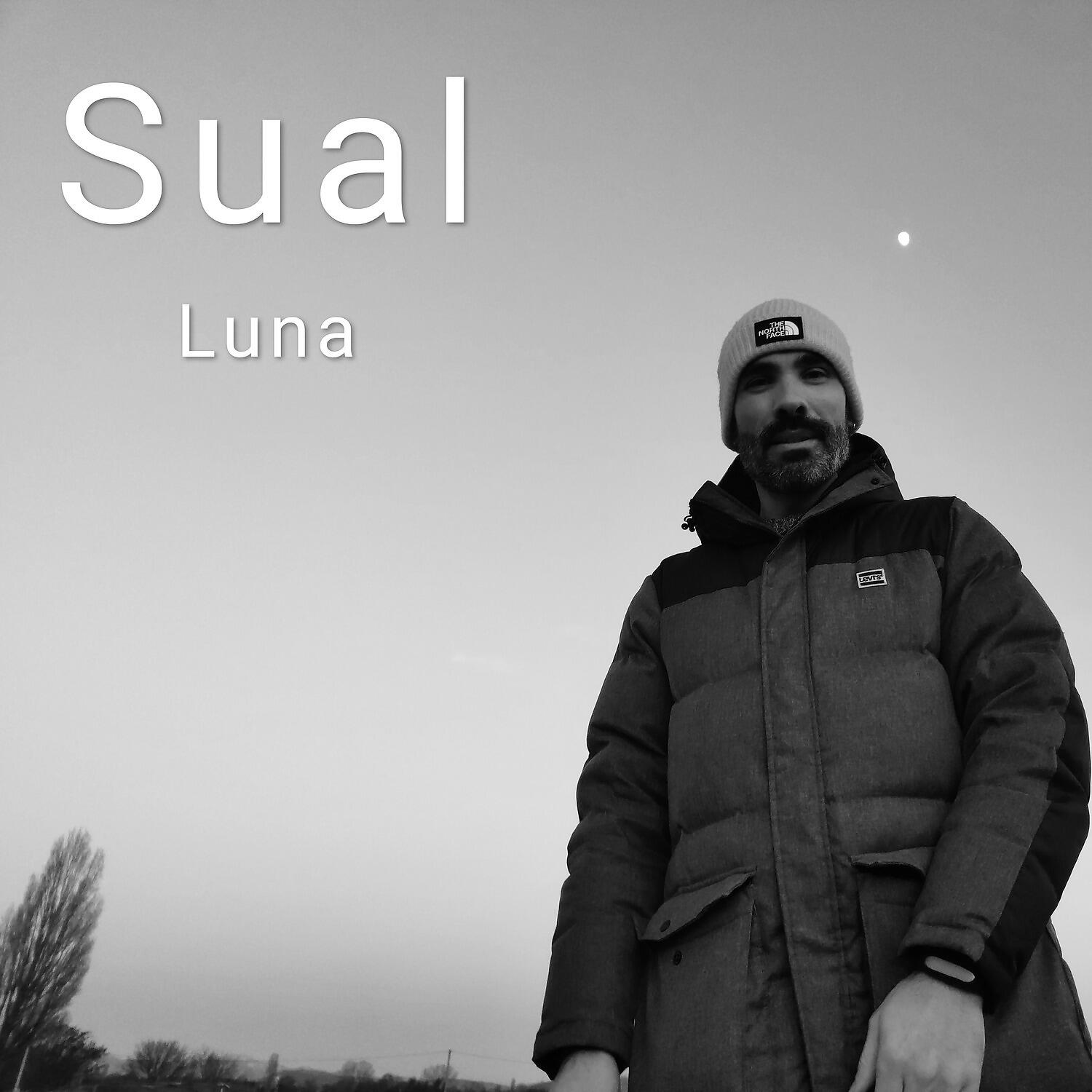 Релиз Luna