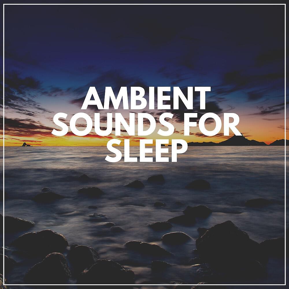 Релиз Ambient Sounds for Sleep