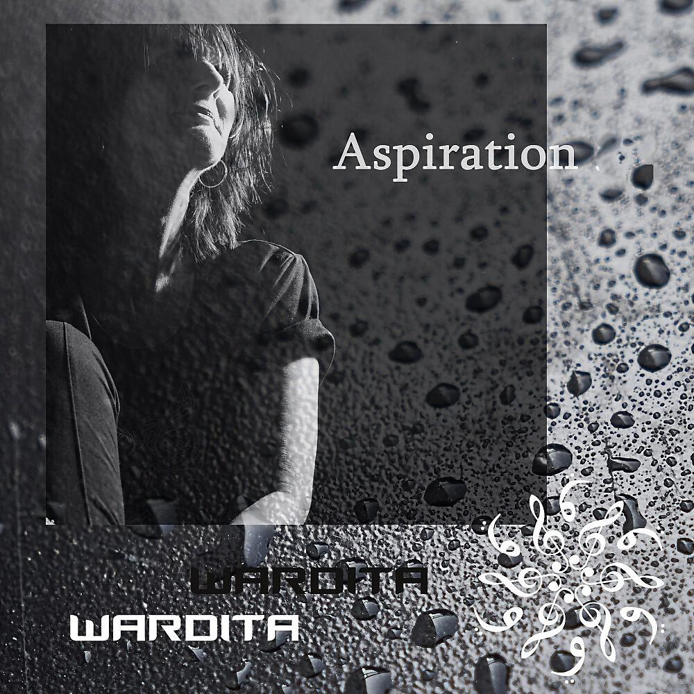 Релиз Aspiration