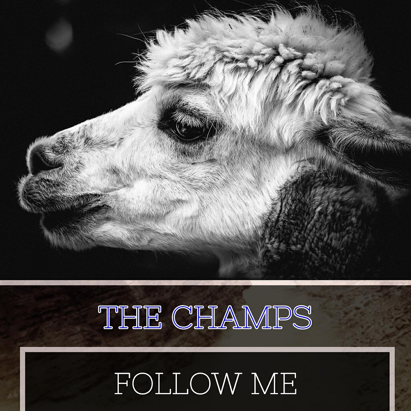 Релиз Follow Me