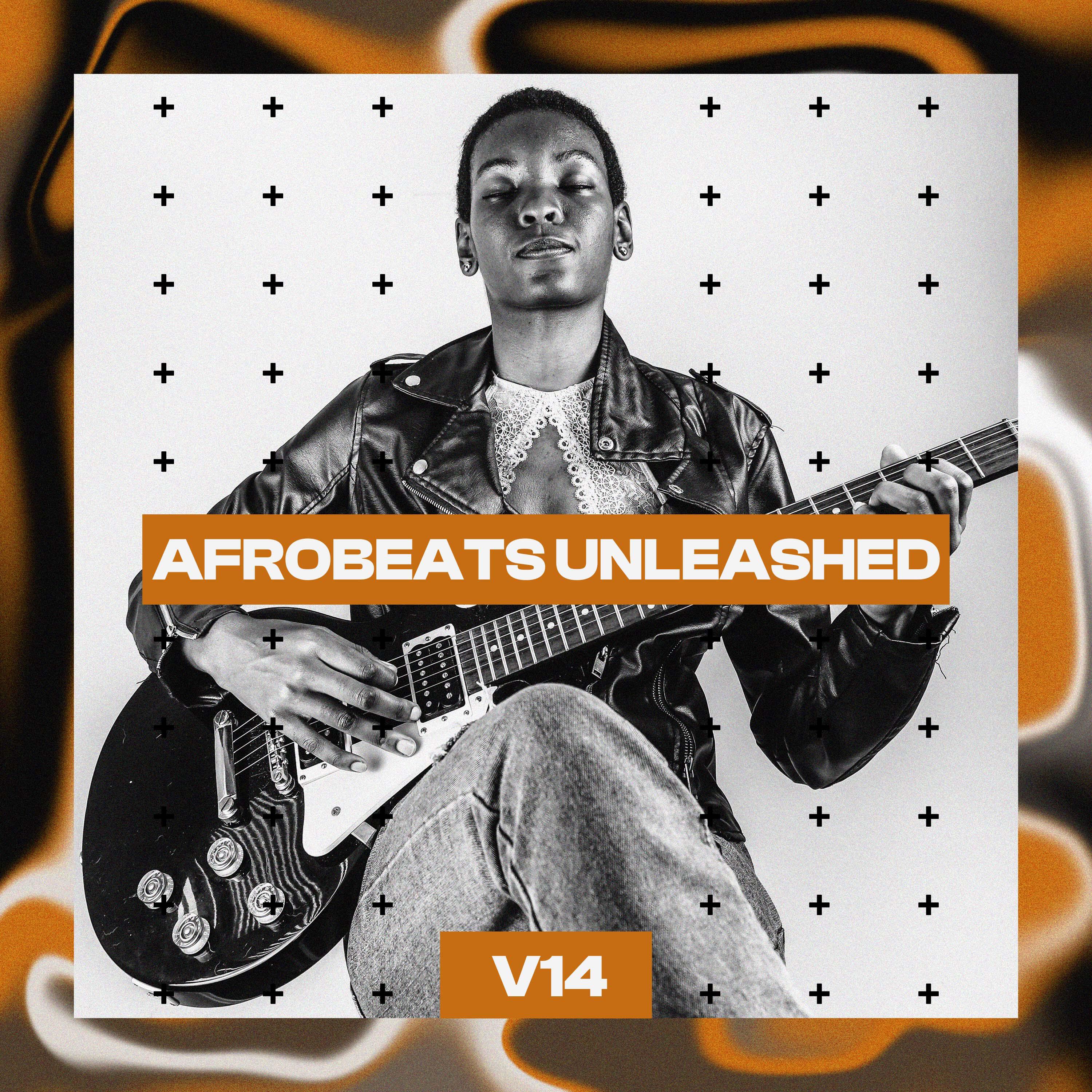 Релиз Afrobeats Unleashed, Vol. 14
