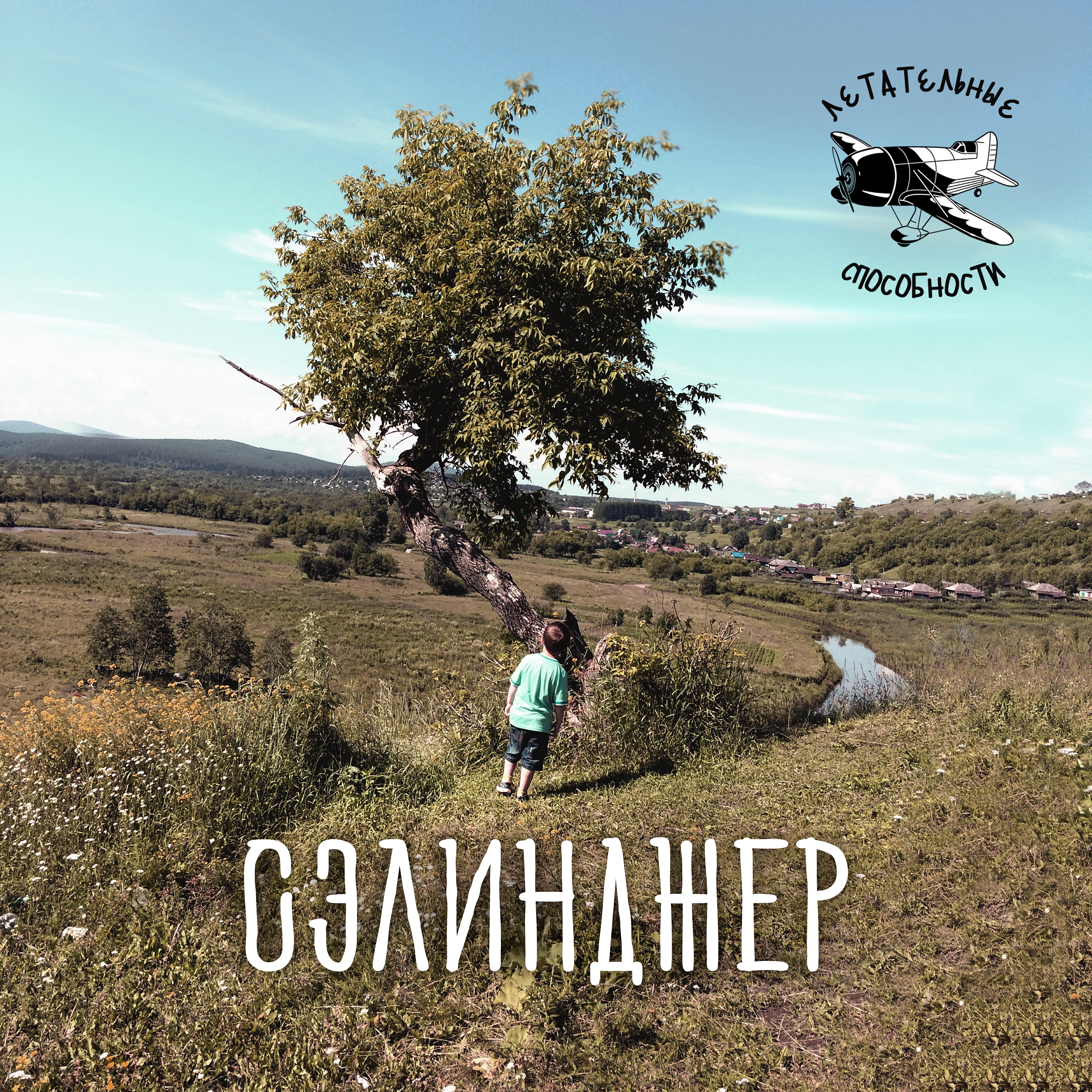 Постер альбома Сэлинджер