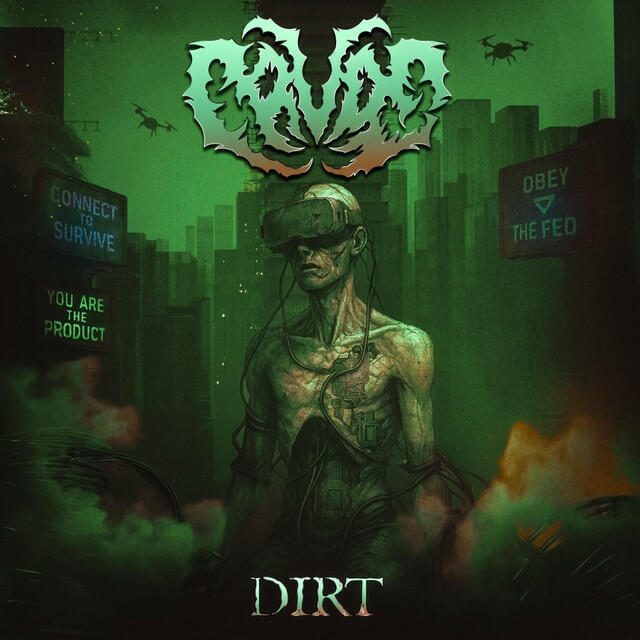 Постер альбома DIRT
