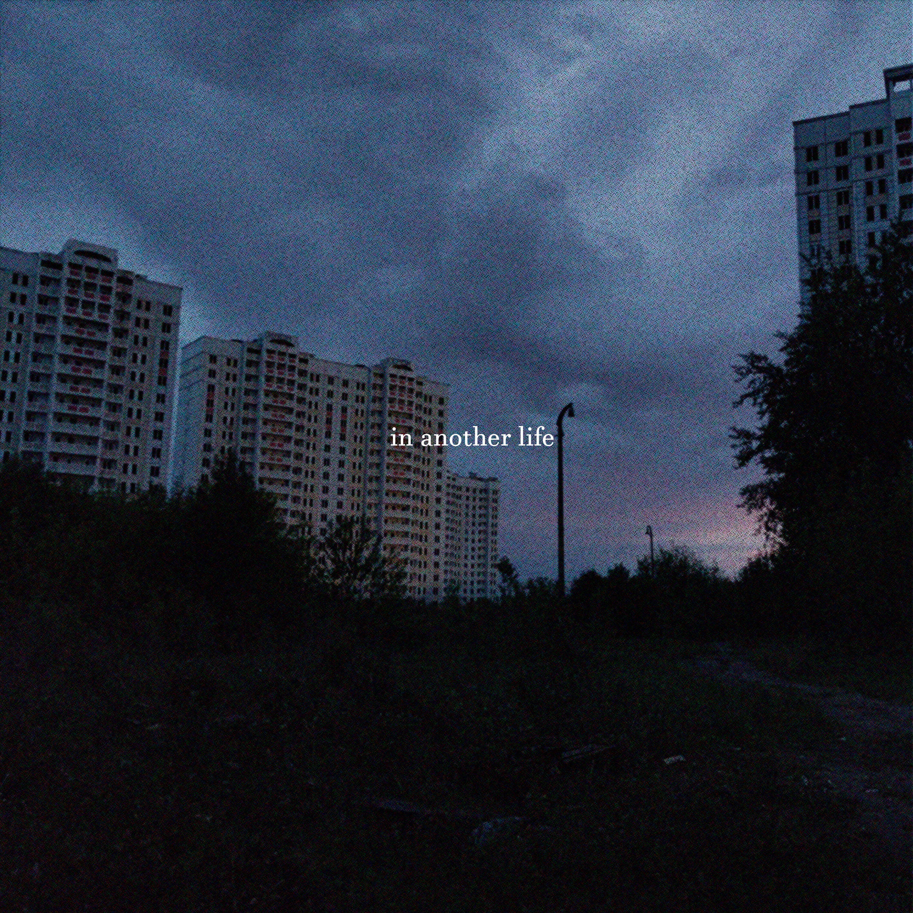 Релиз In Another Life