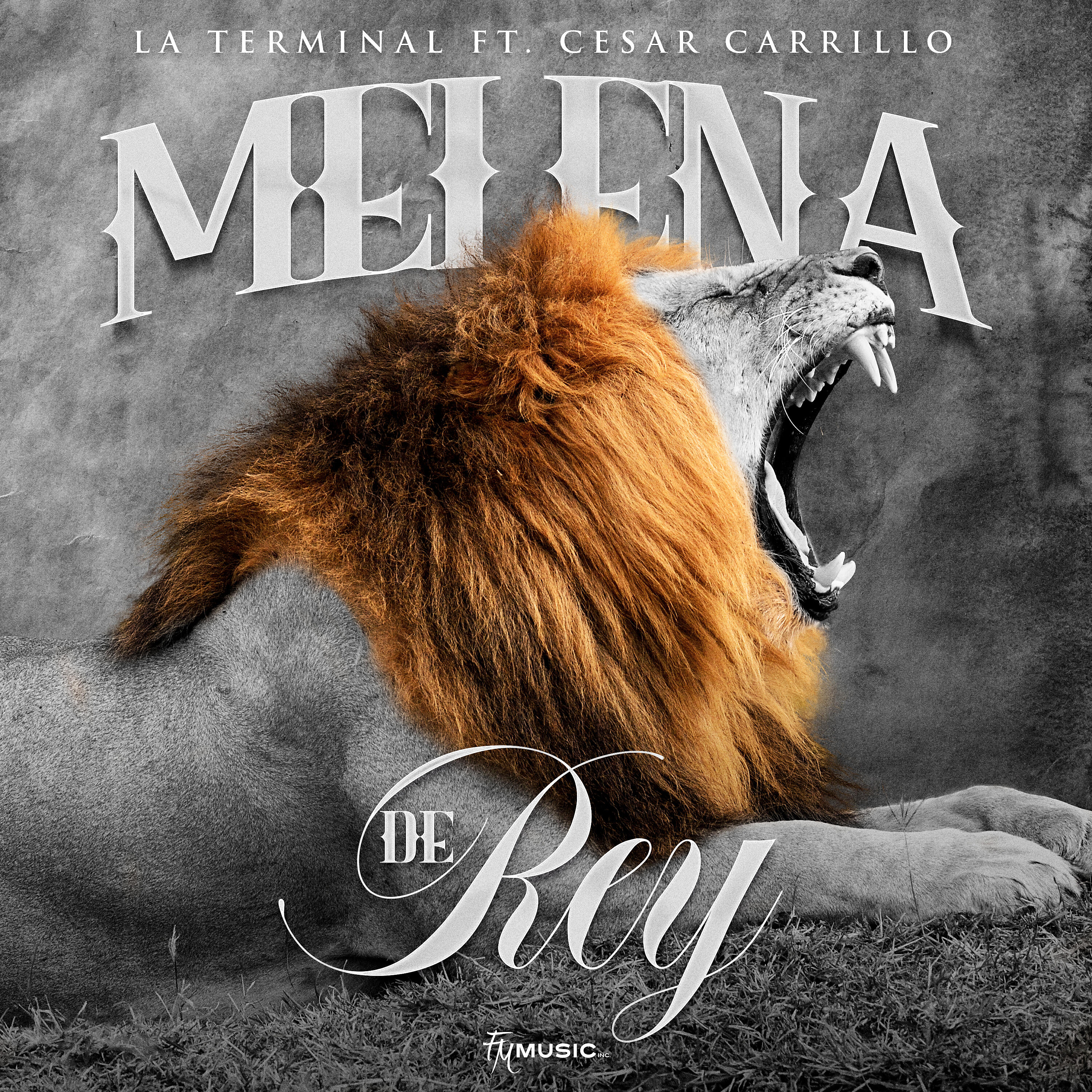 Релиз Melena De Rey