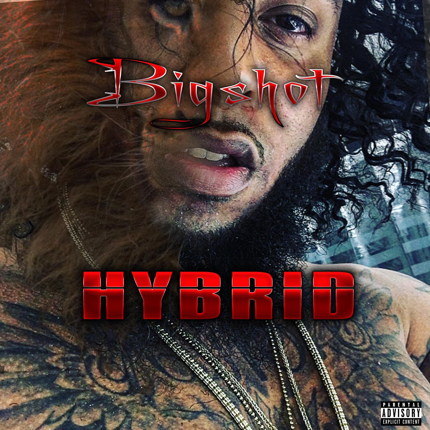 Релиз Hybrid