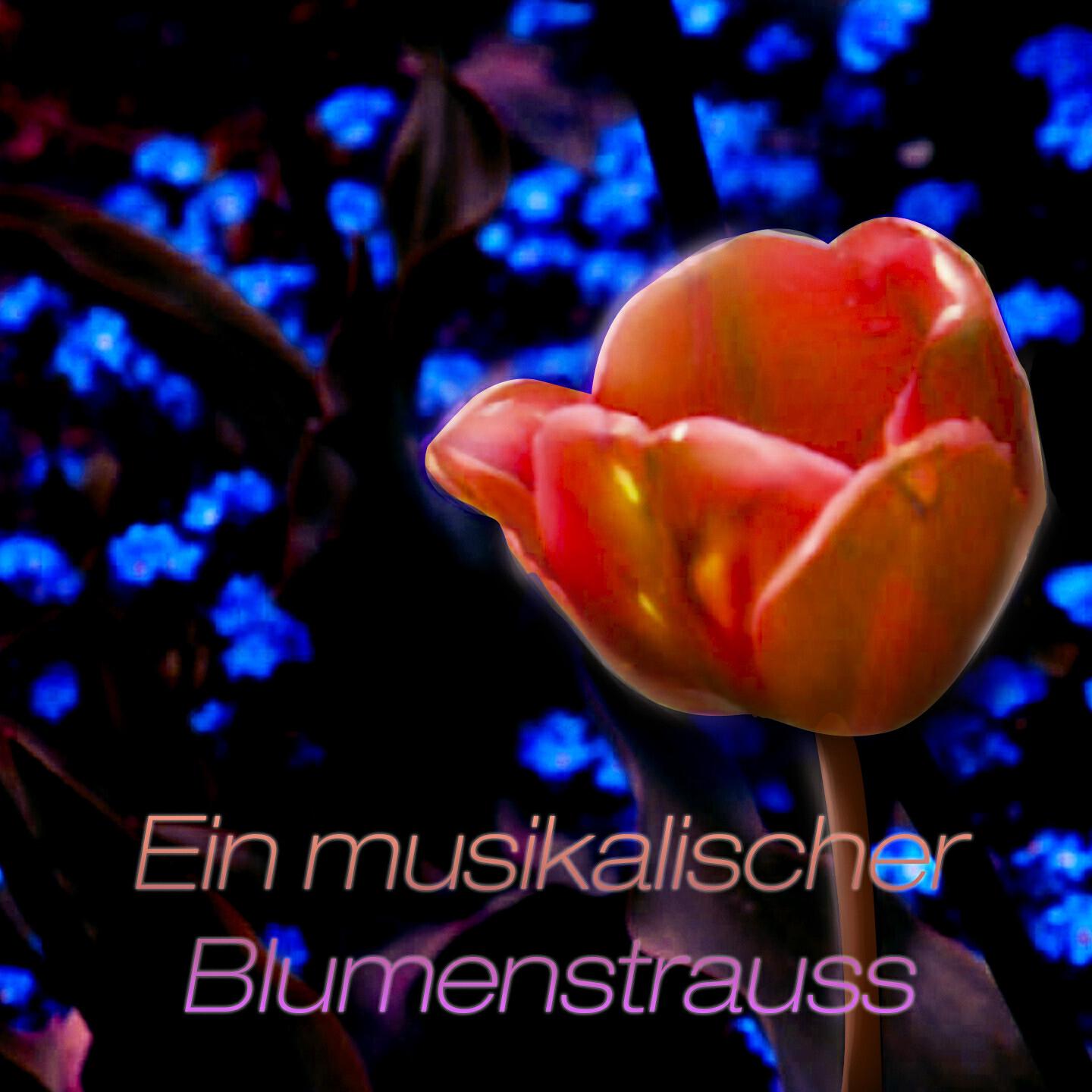 Релиз Ein musikalischer Blumenstrauss