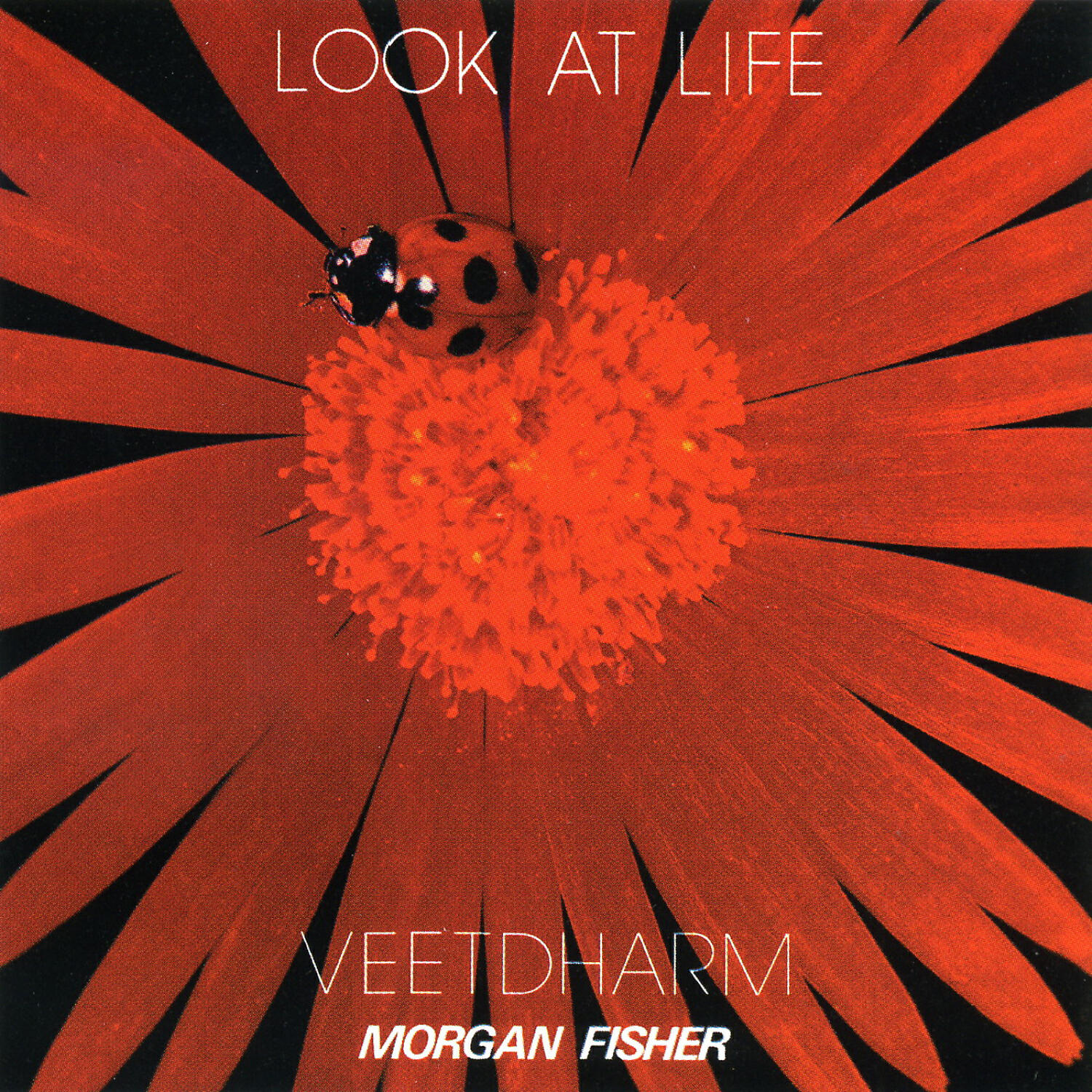 Релиз Look at Life