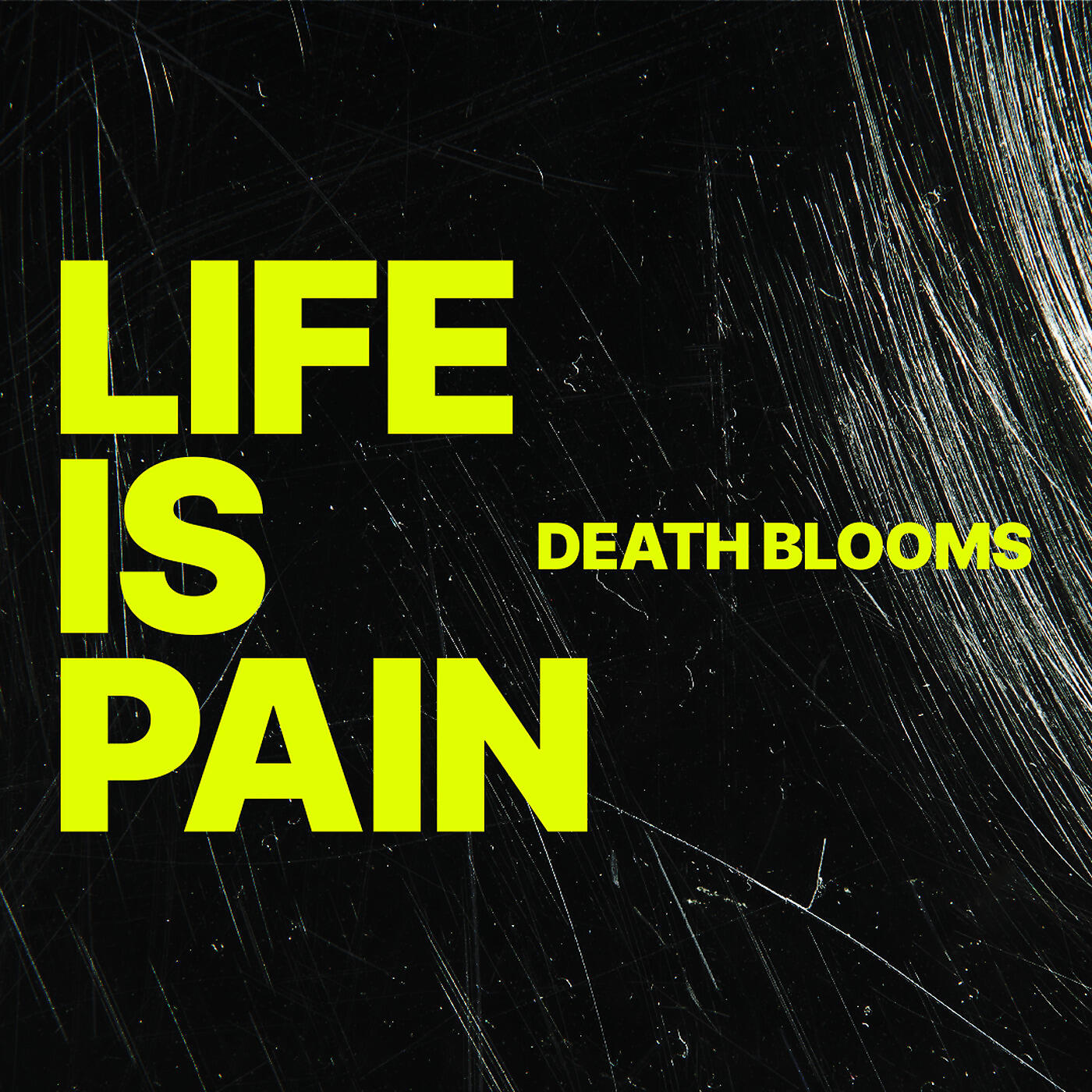 Релиз Life Is Pain