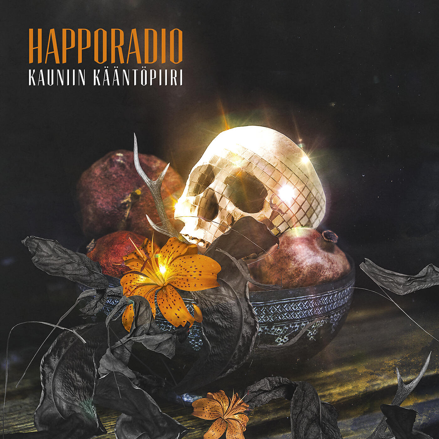 Постер альбома Kauniin kääntöpiiri