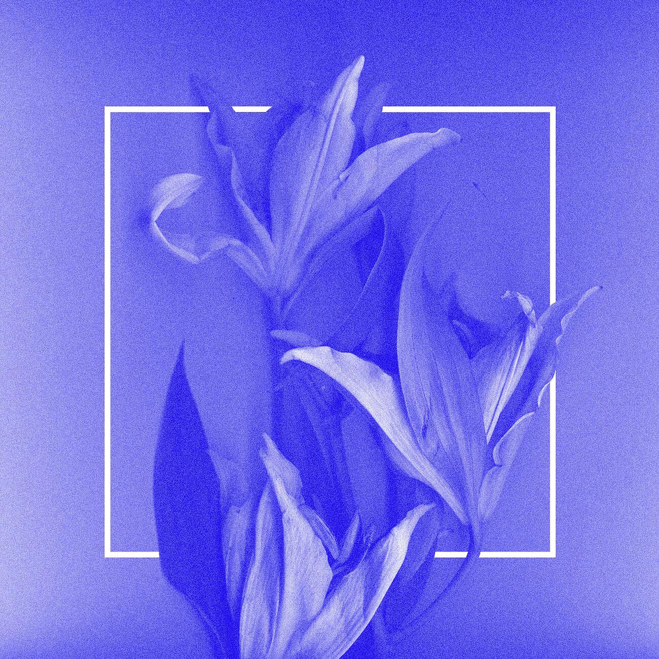 Релиз Fountains