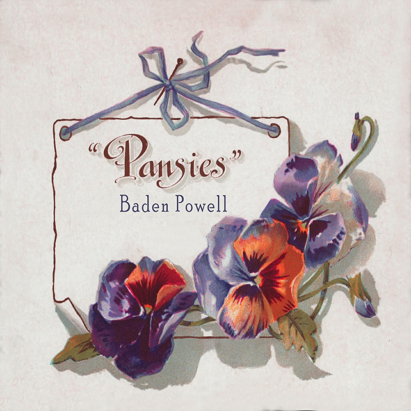 Постер альбома Pansies