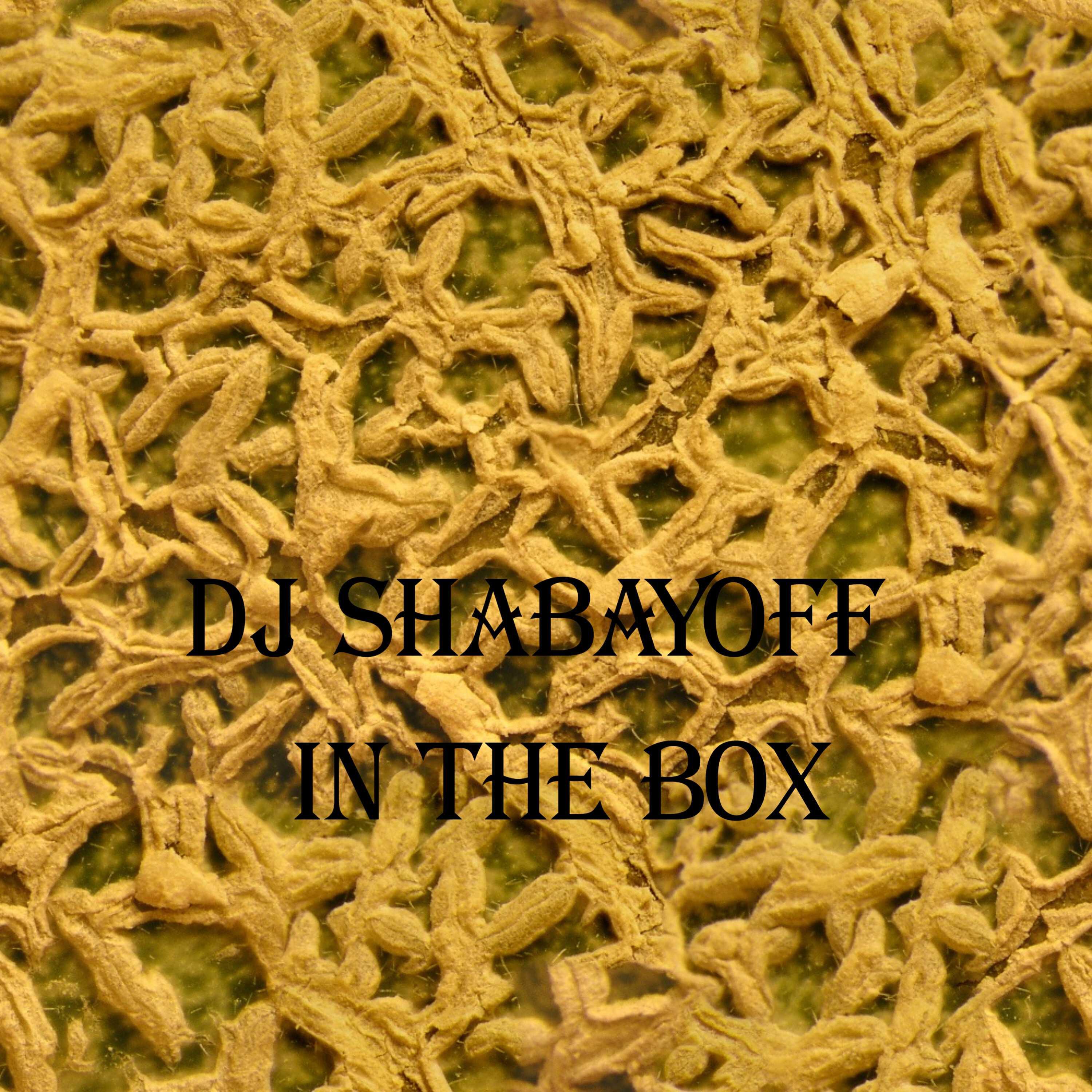 Релиз In The Box