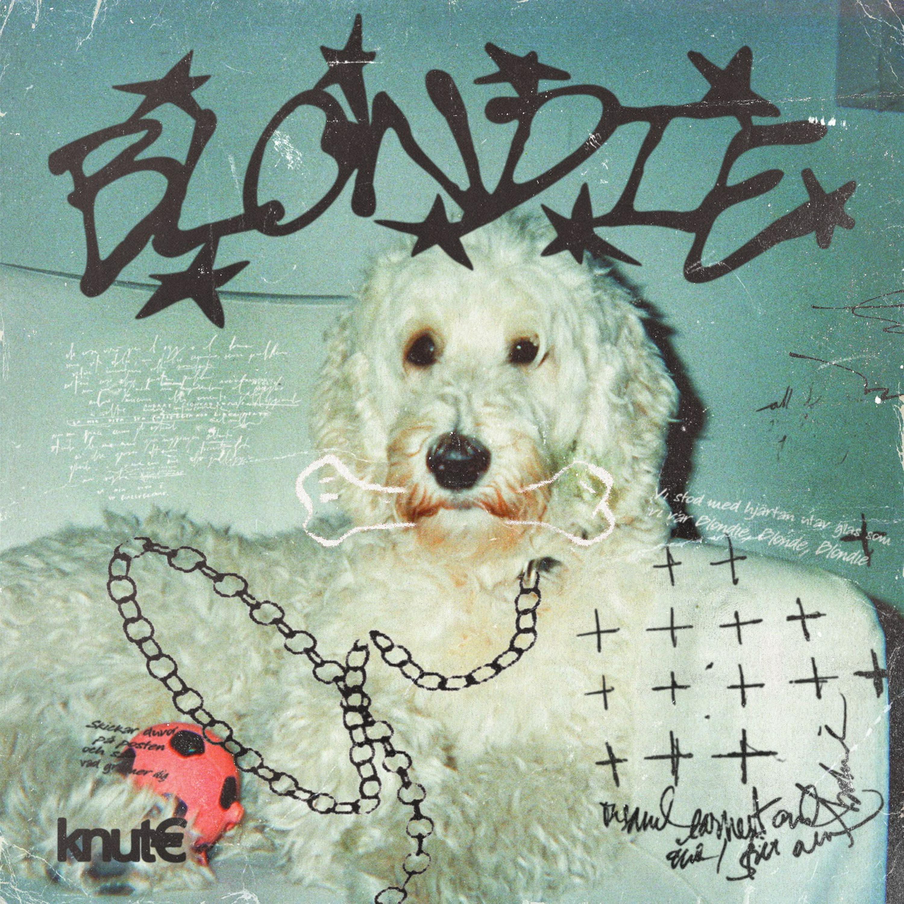 Релиз BLONDIE
