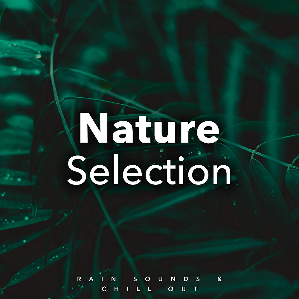 Релиз Nature Selection