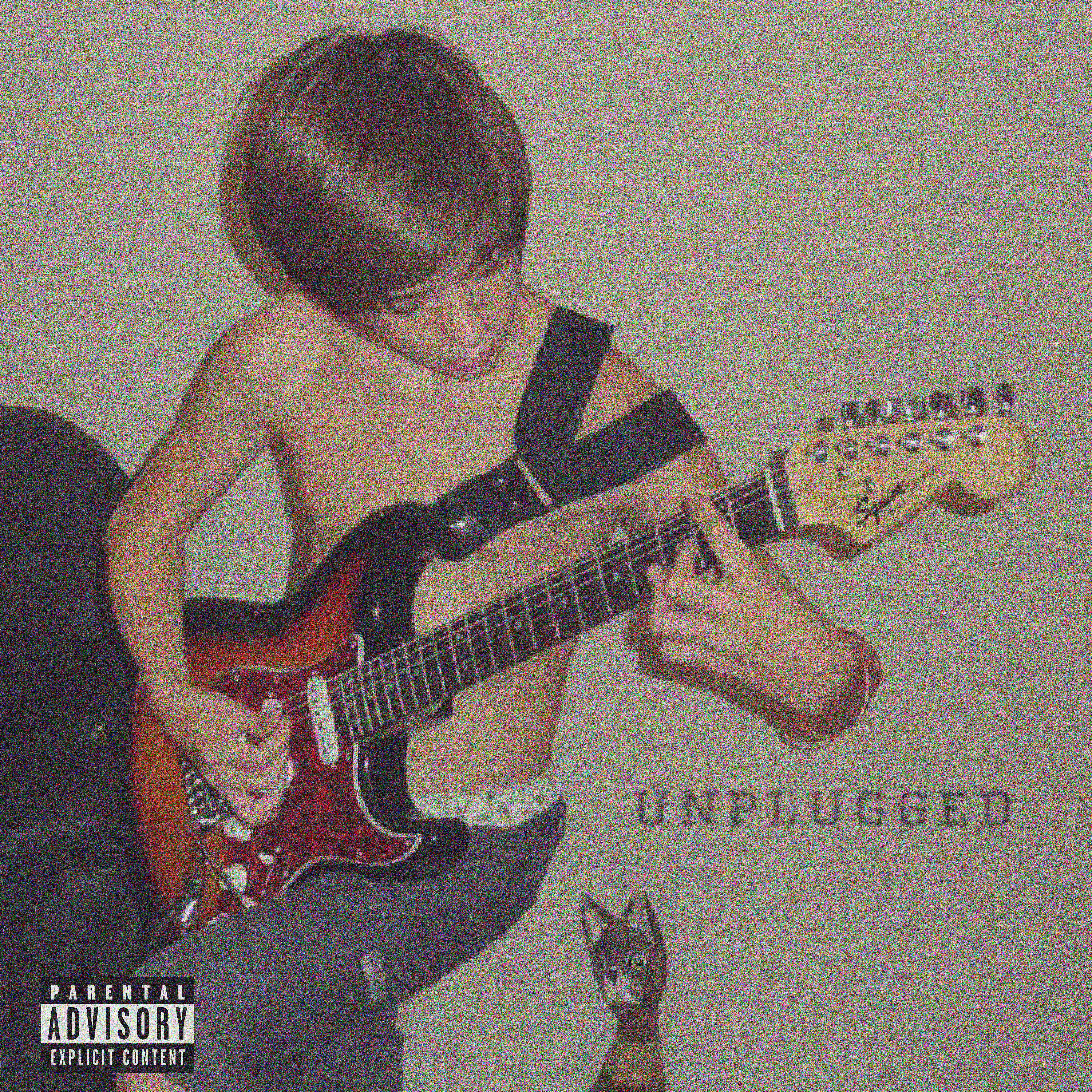 Релиз Unplugged