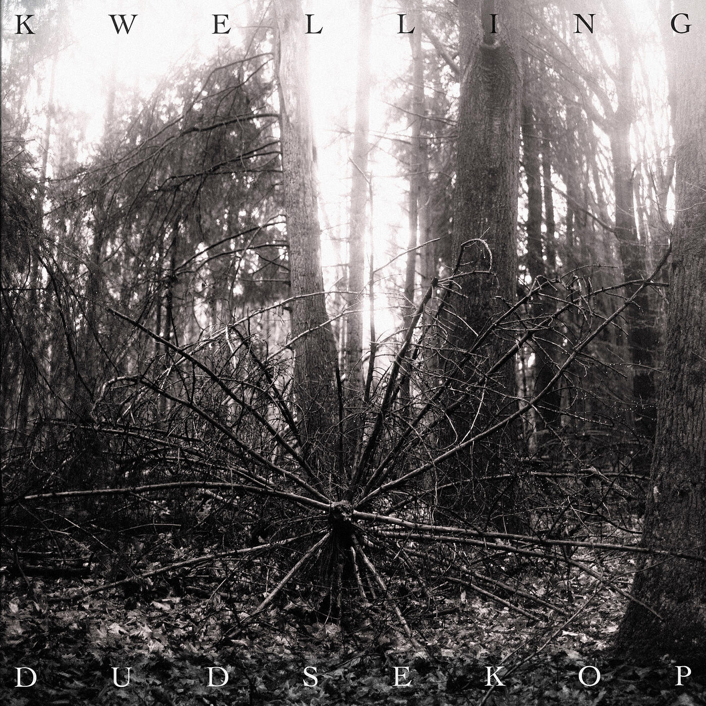 Релиз Kwelling