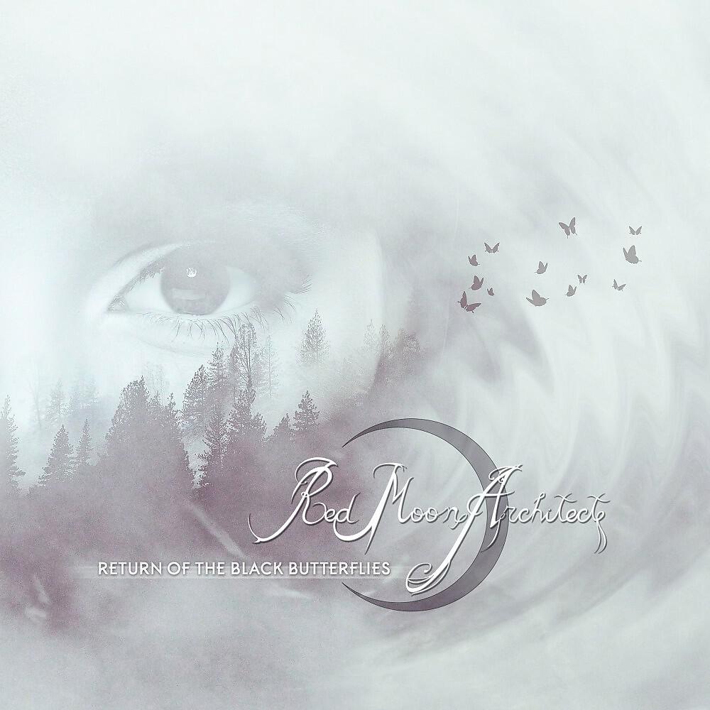 Релиз Return of the Black Butterflies