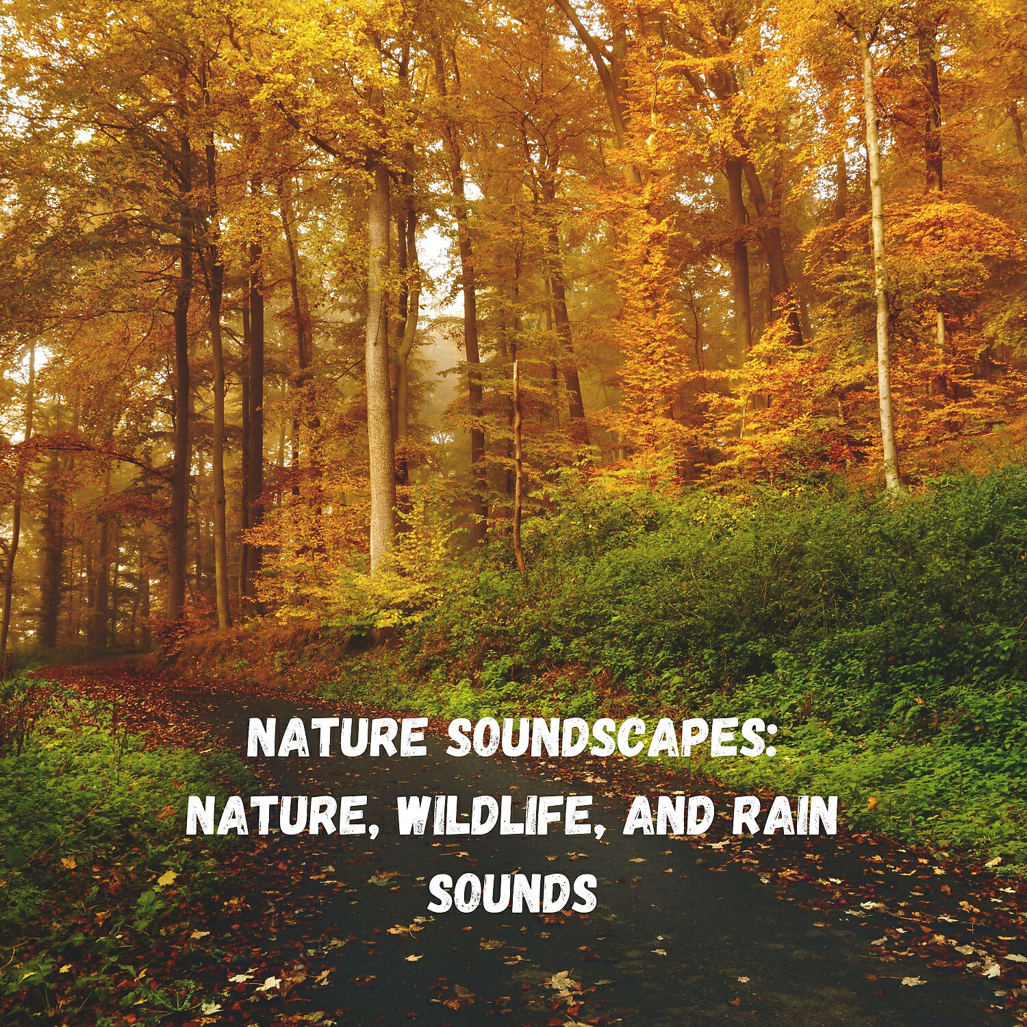 Hi Freq Samples & Epic Soundscapes & Spa Music Relaxation - Autumn Rain