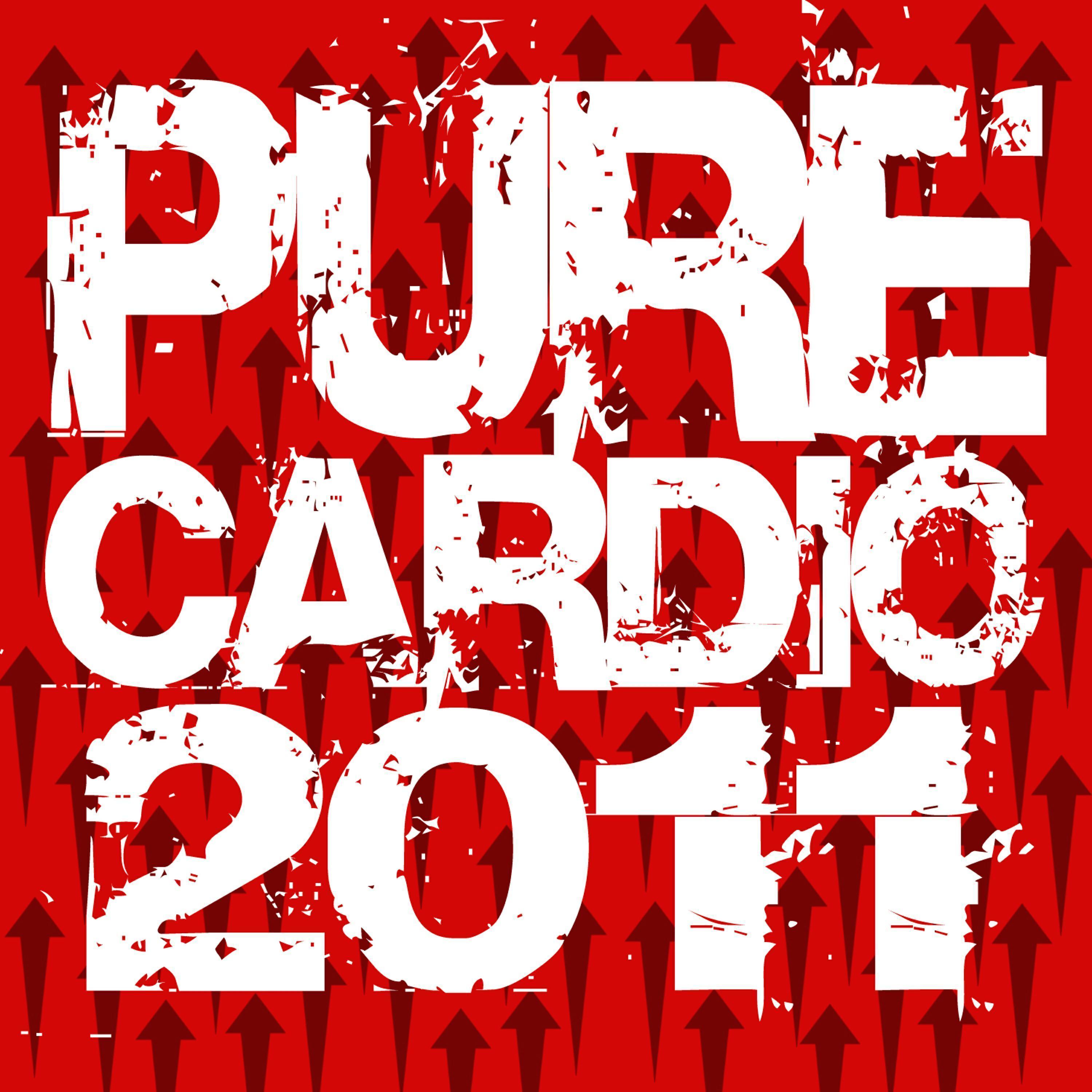 Pure Cardio Workout