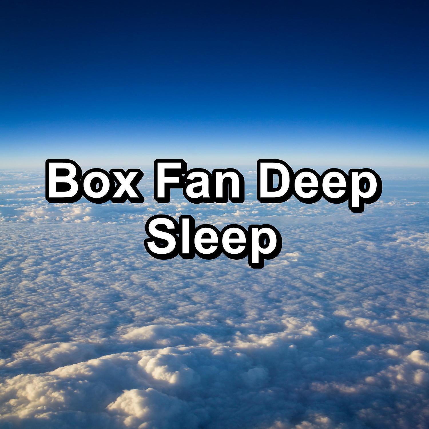 Постер альбома Box Fan Deep Sleep