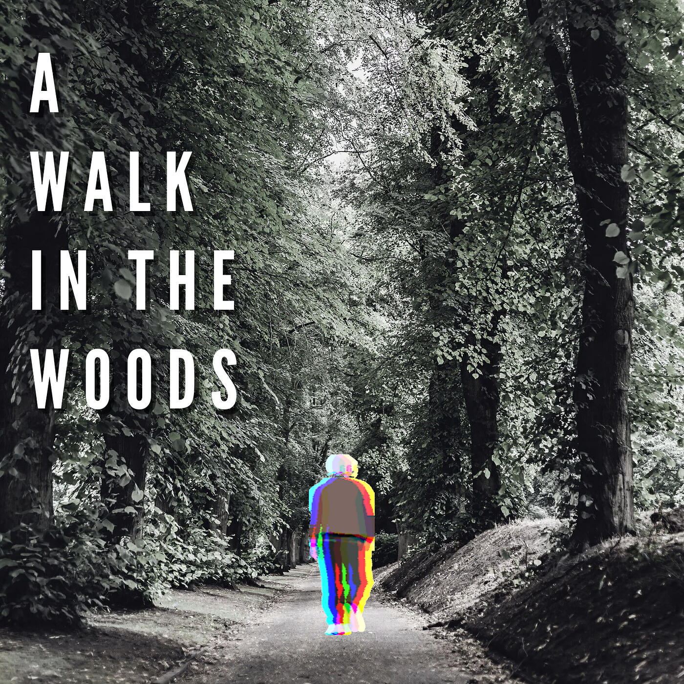Релиз A Walk in the Woods
