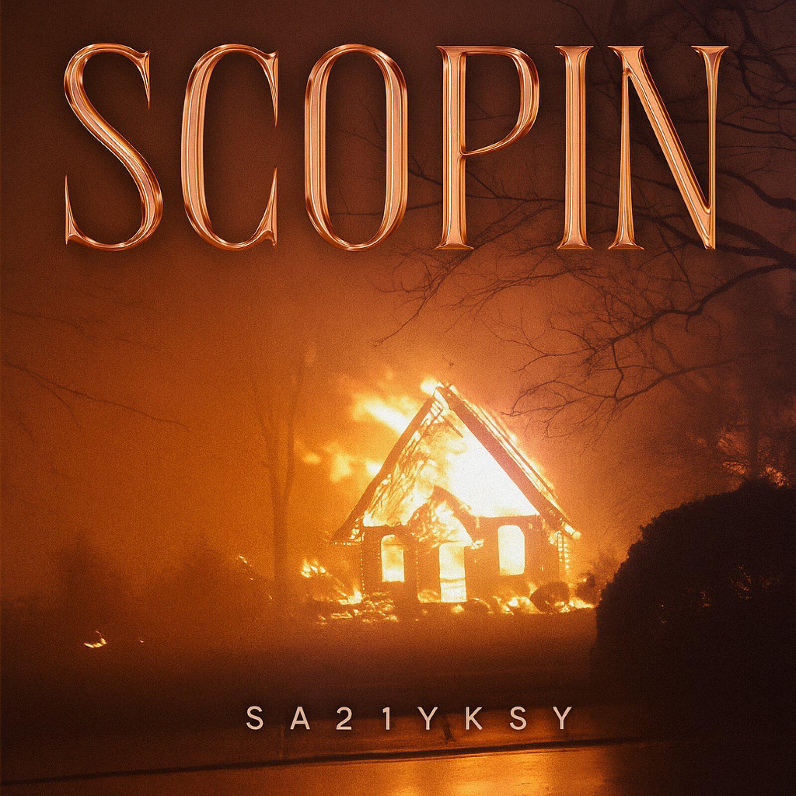 Постер альбома Scopin