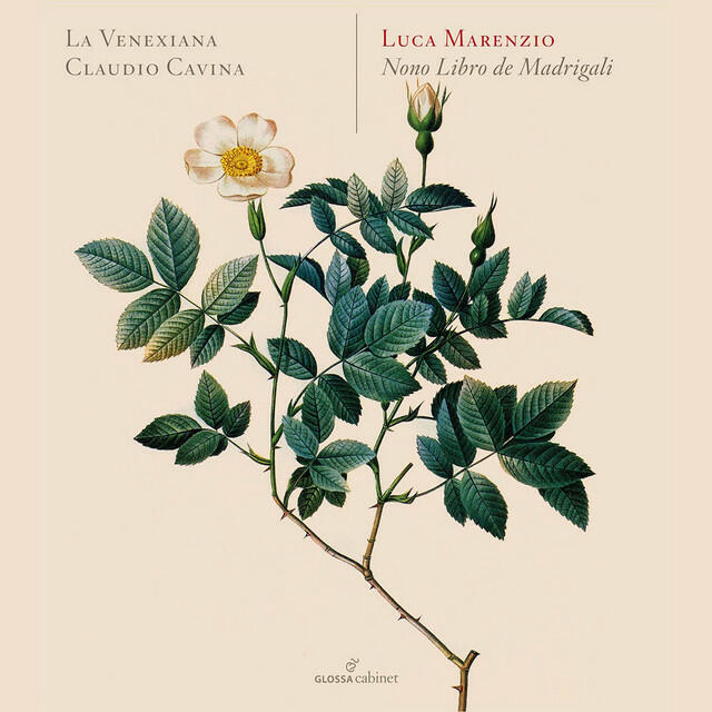 Релиз Luca Marenzio: Madrigali á 5 voci, Libro 9 (Excerpts)