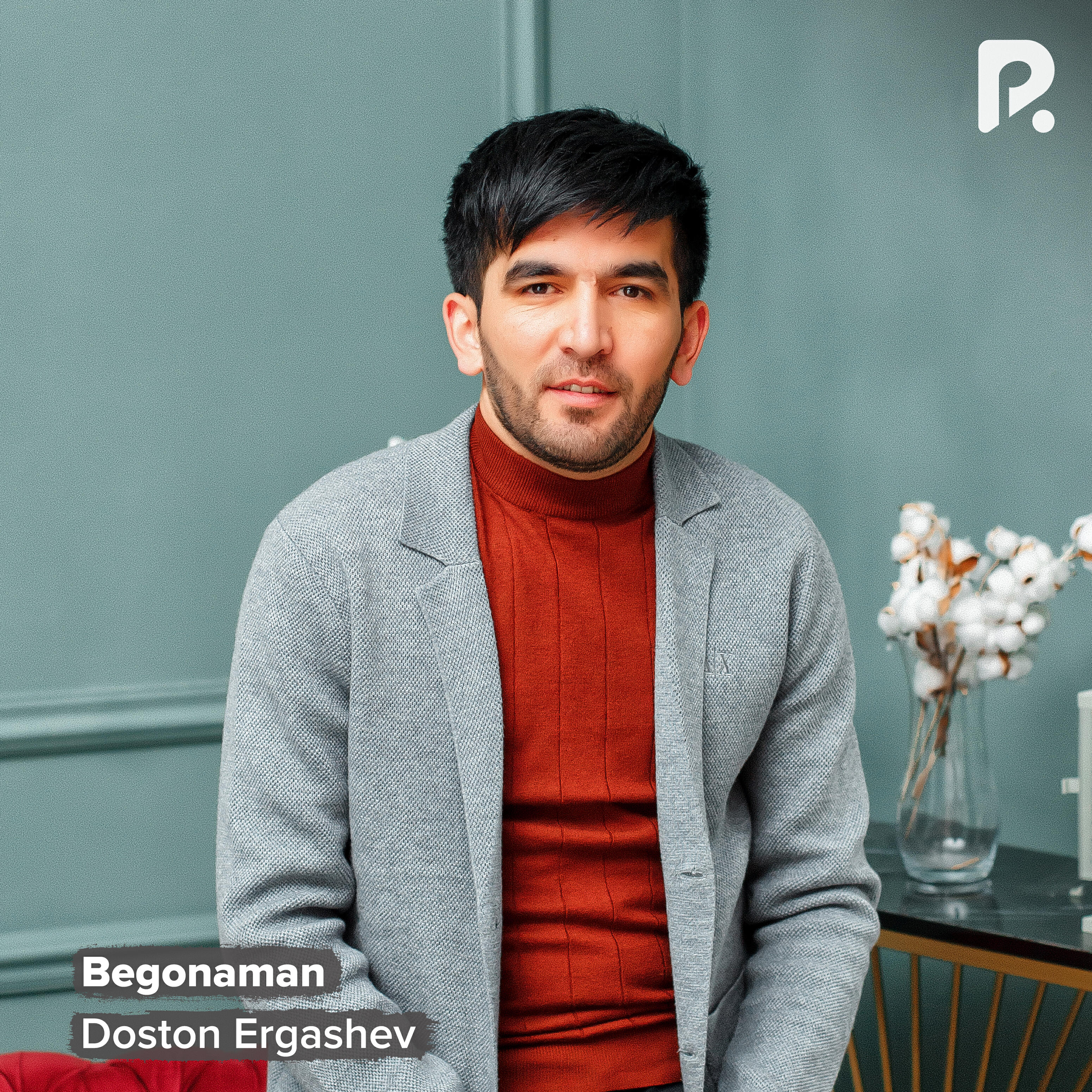 Релиз Begonaman