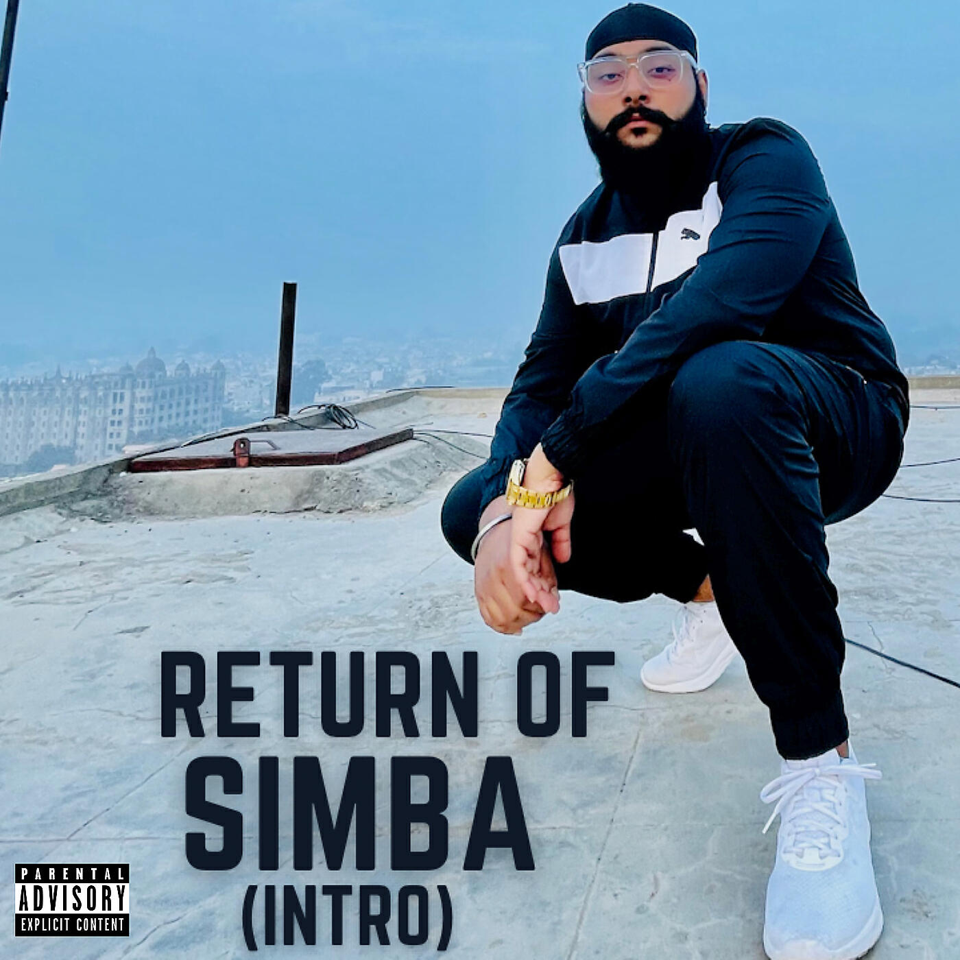 Релиз Return of Simba (Intro)